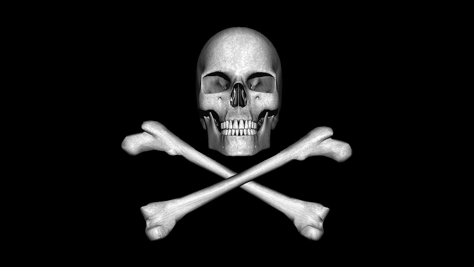 cgi, pirates, skulls, black background, studio shot, one person