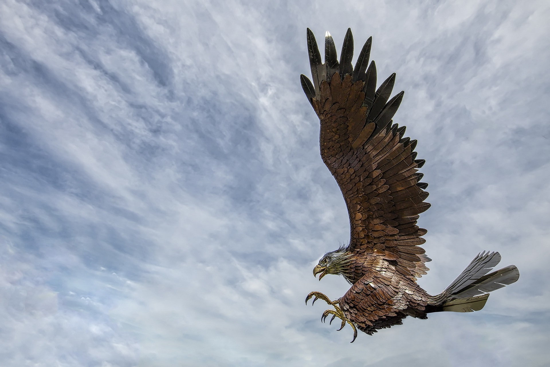 animals, clouds, eagle