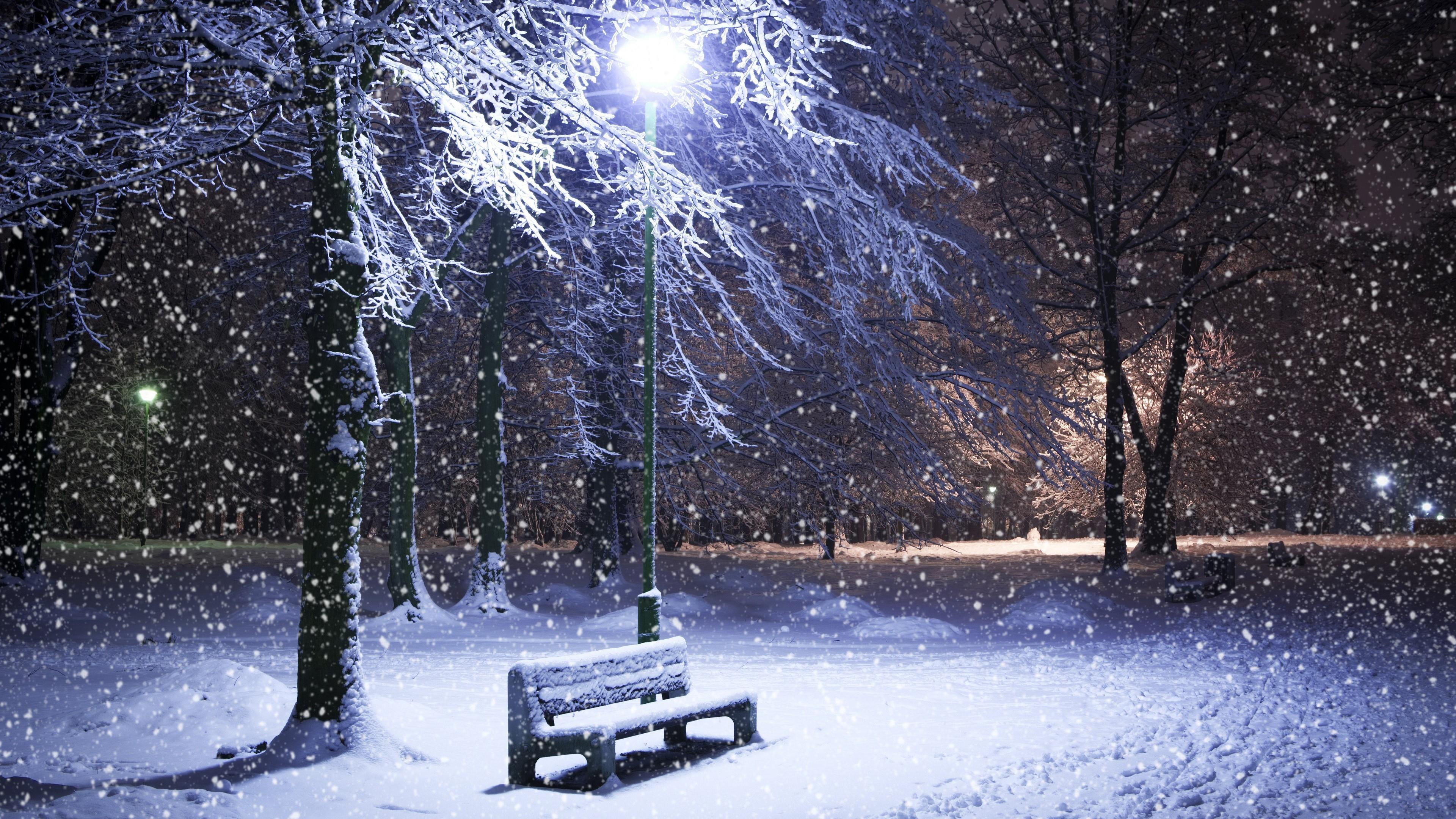 bench, winter, park, street light, snowfall, street lights