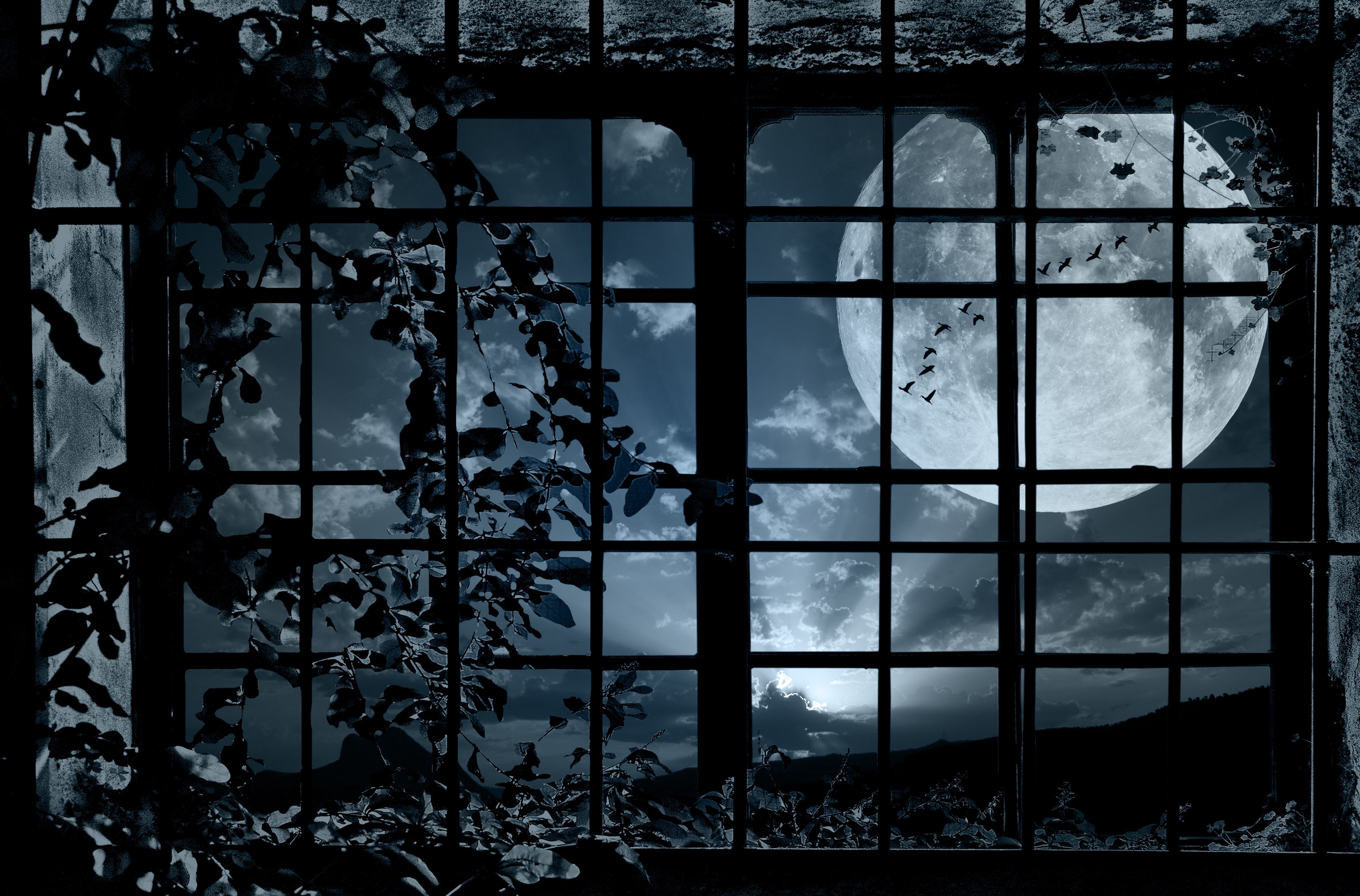 fantasy art, window, Moon, night