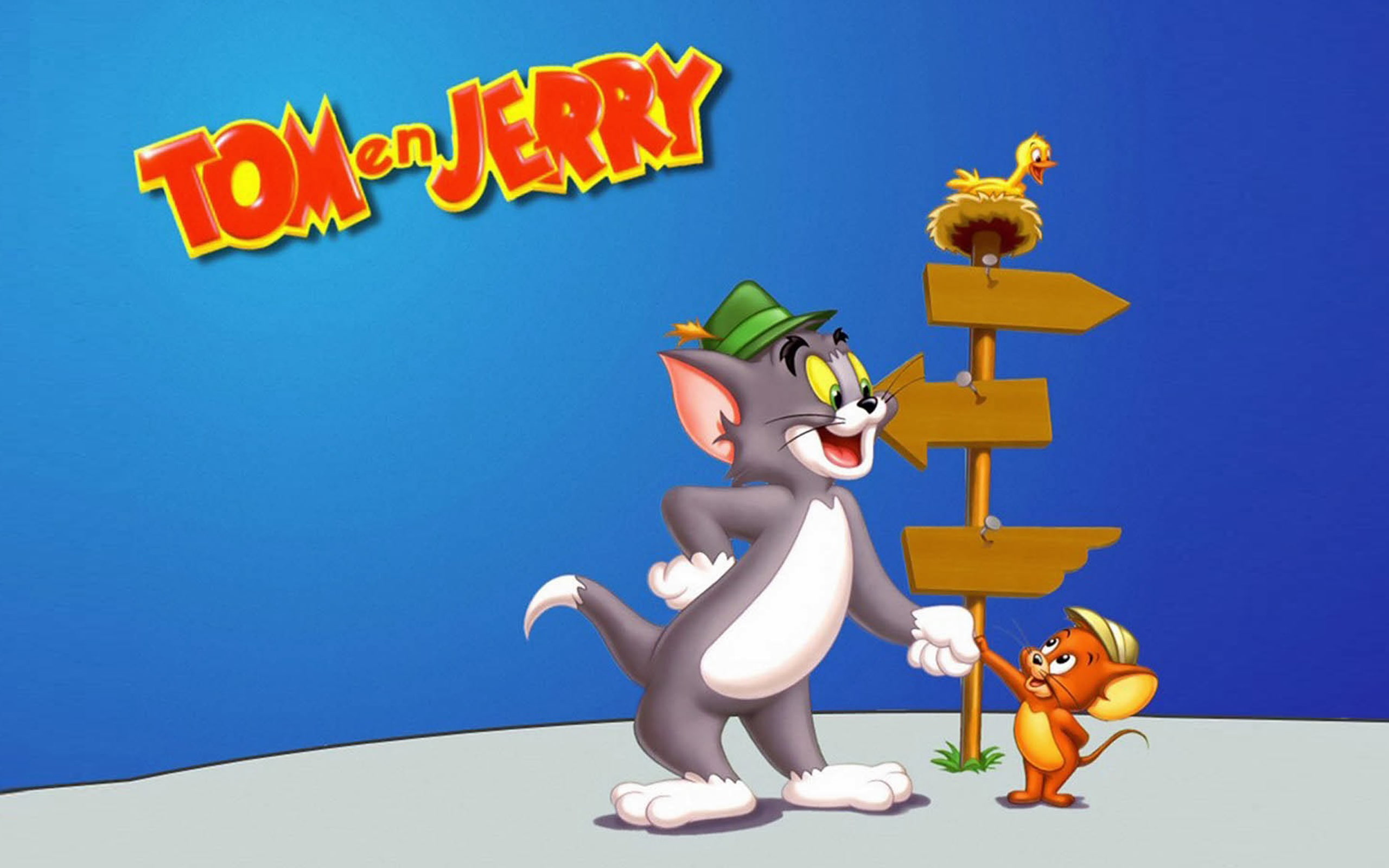 Tom And Jerry The Popular Cartoon Characters Hd Wallpaper For Desktop 2560×1600