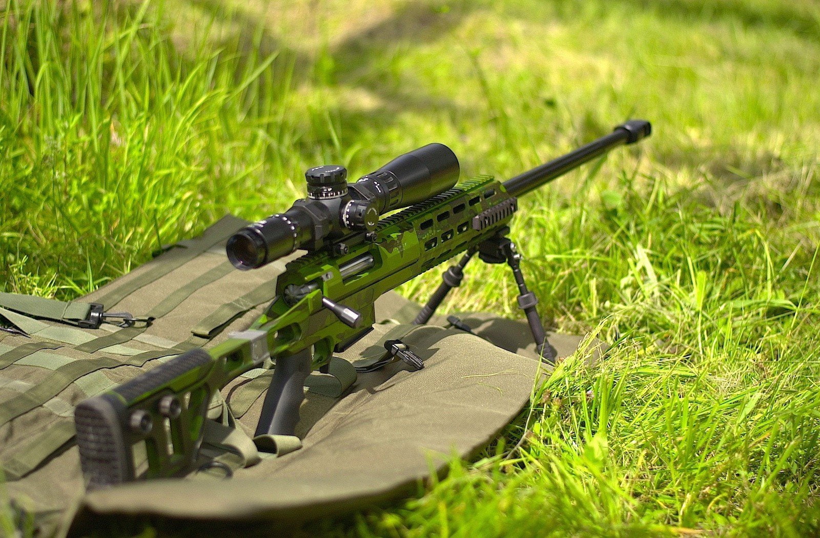lobaevarms sniper rifle, weapon, gun, military, grass, green color
