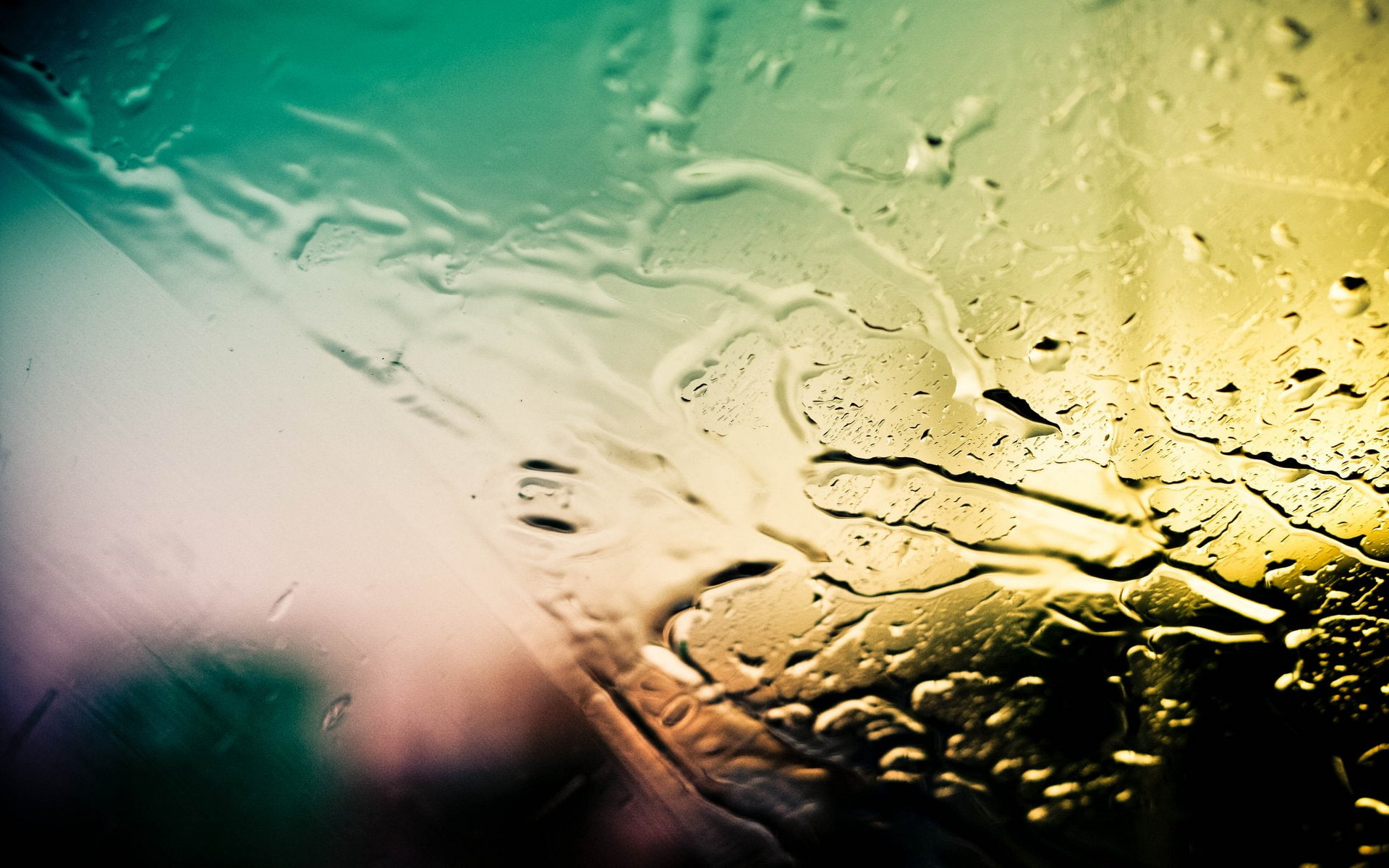 macro, rain, window
