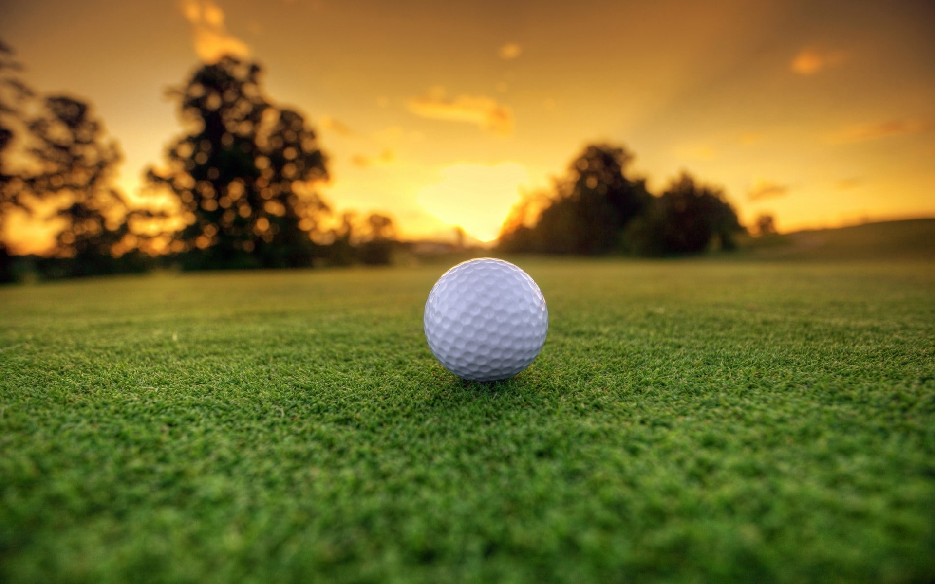 nature, golf, sport, grass, golf course, golf ball, activity