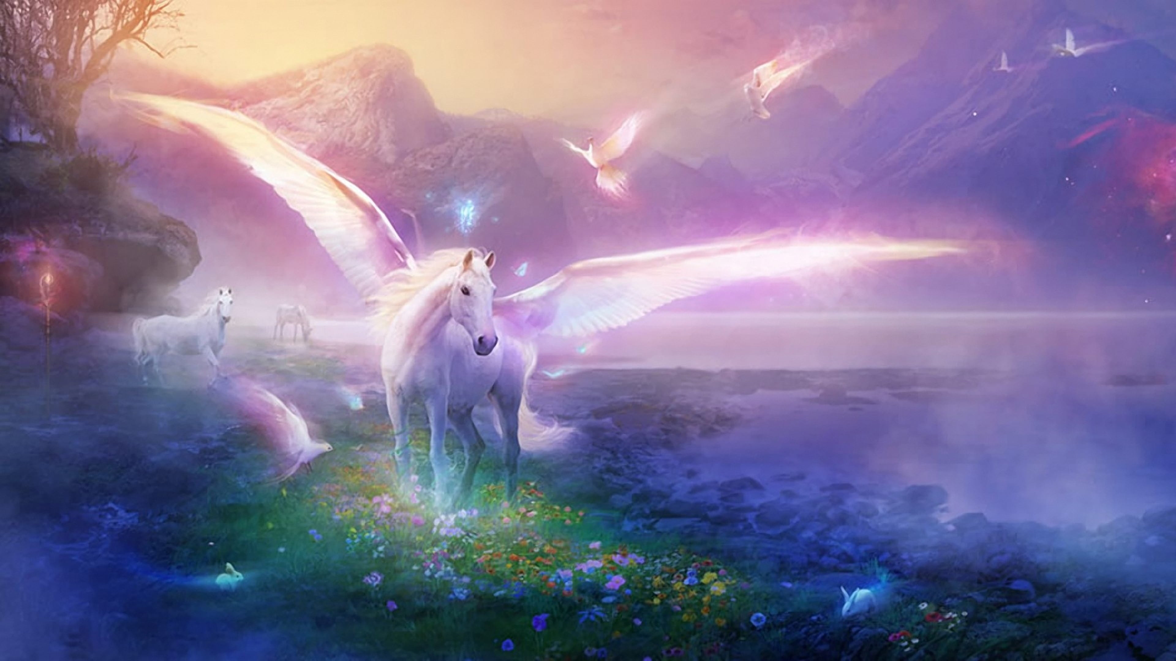 White Winged Unicorn With Open And White Pigeons In The World Of Fairy Tales And Fantasy Hd Wallpaper Widescreen 3840×2160