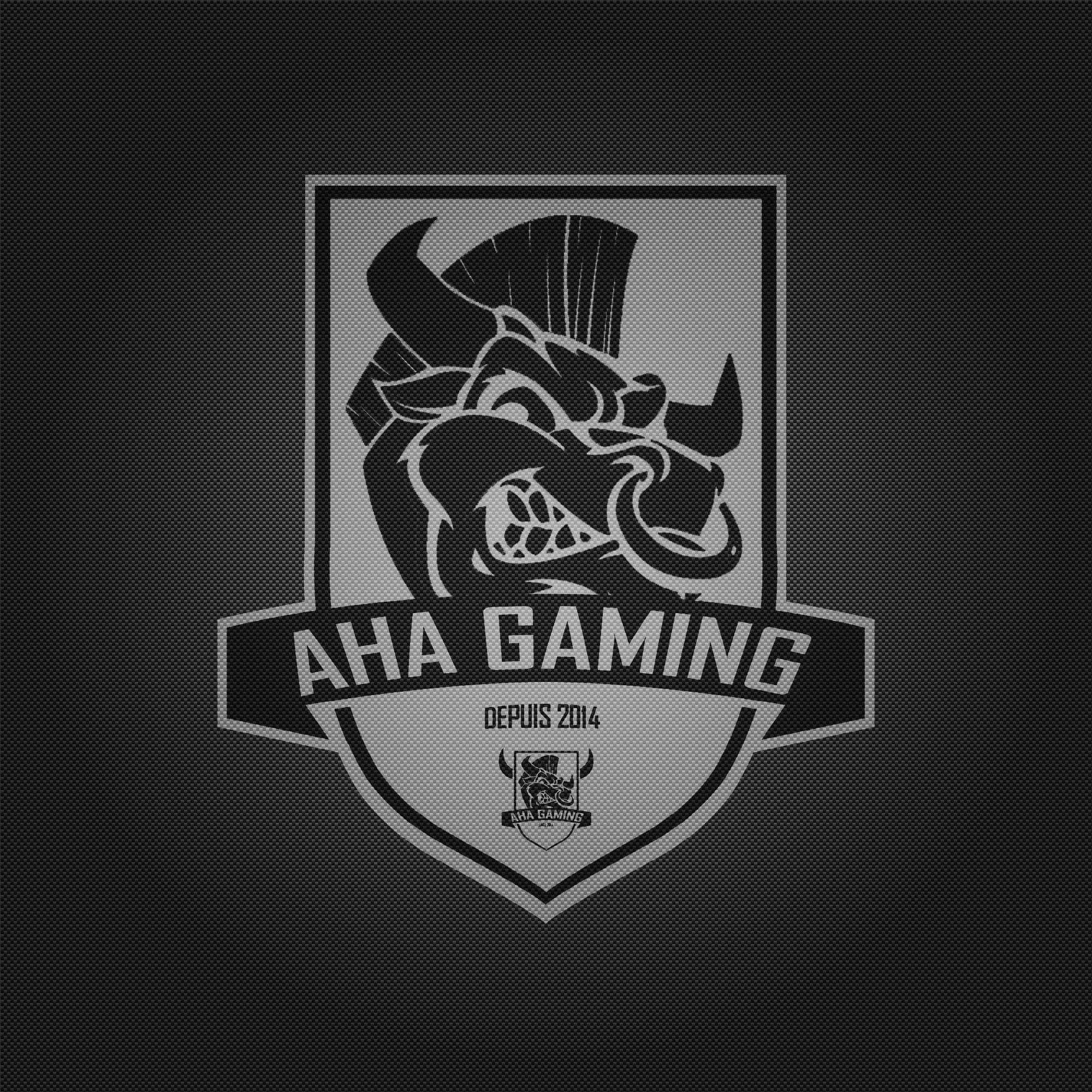 e-sport, aha gaming, video games, communication, text, no people