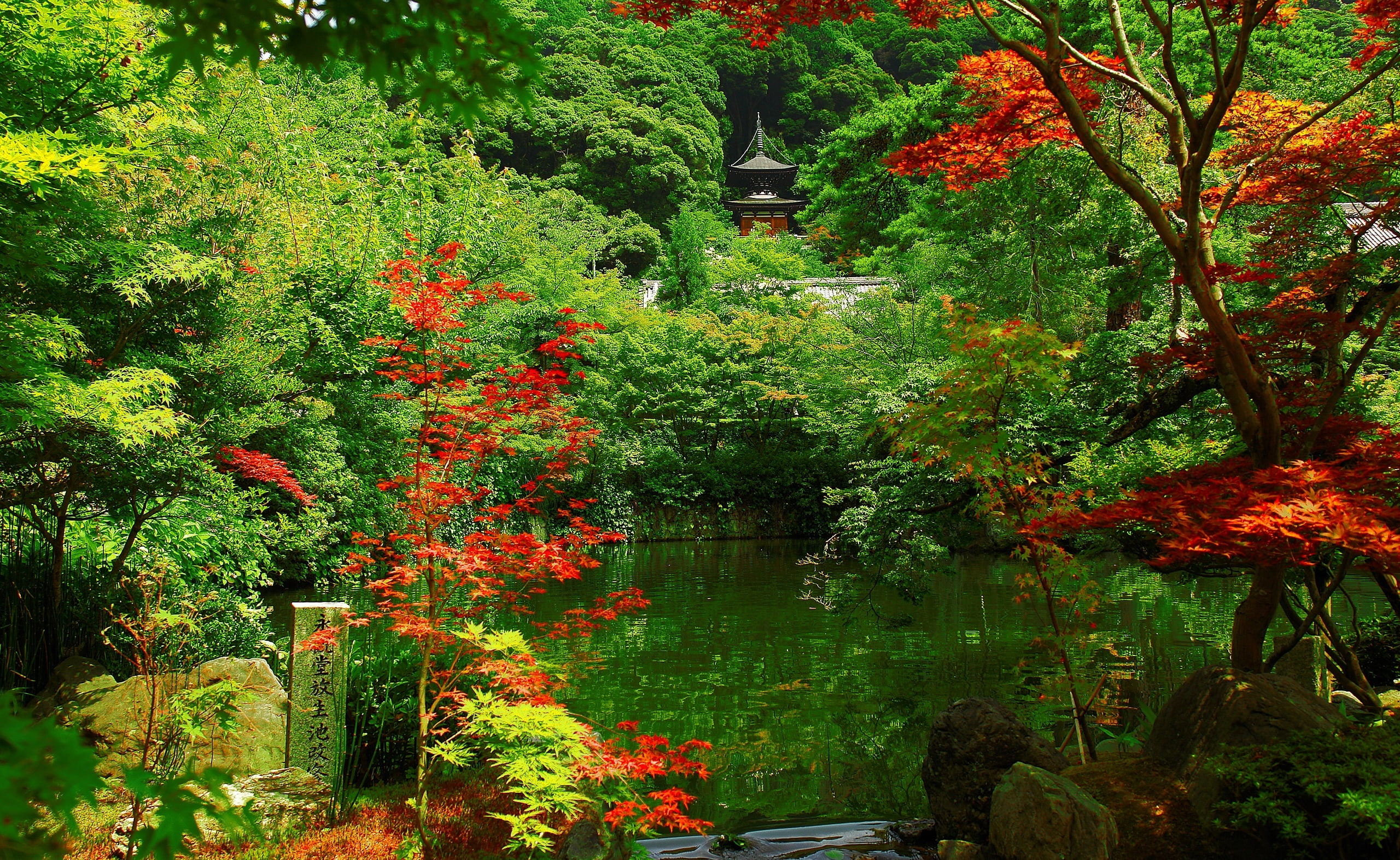 Kyoto Garden, Japan, red and grey pagoda, Asia, nice, nature