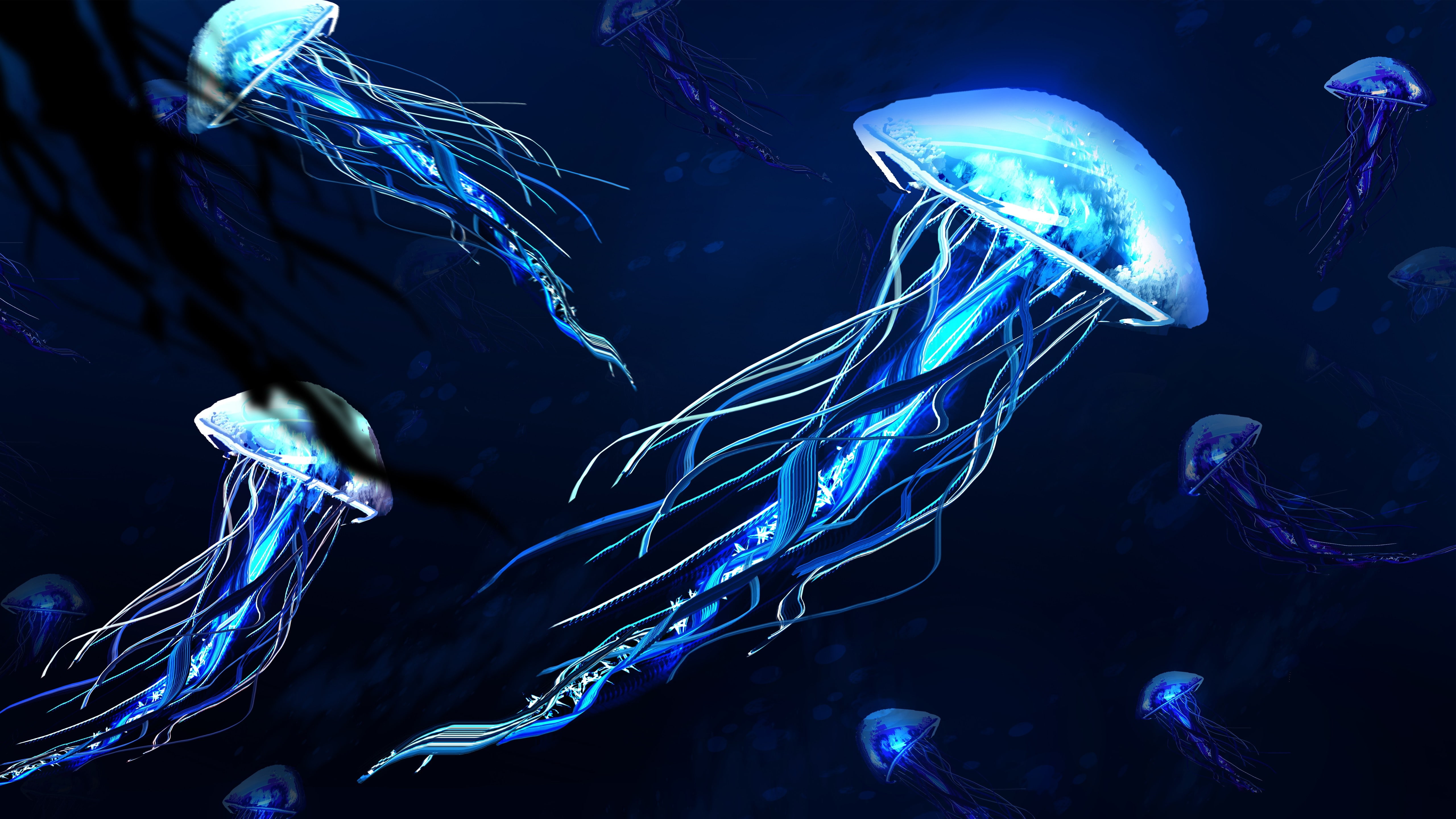 jellyfish, light, underwater, 5k, electric blue, darkness, 5k uhd