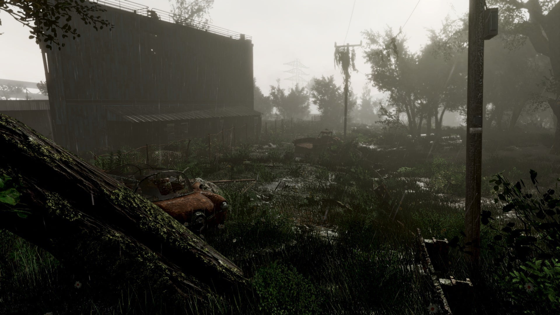 gray electric post, Fallout 4, apocalyptic, mist, nature, Bethesda Softworks