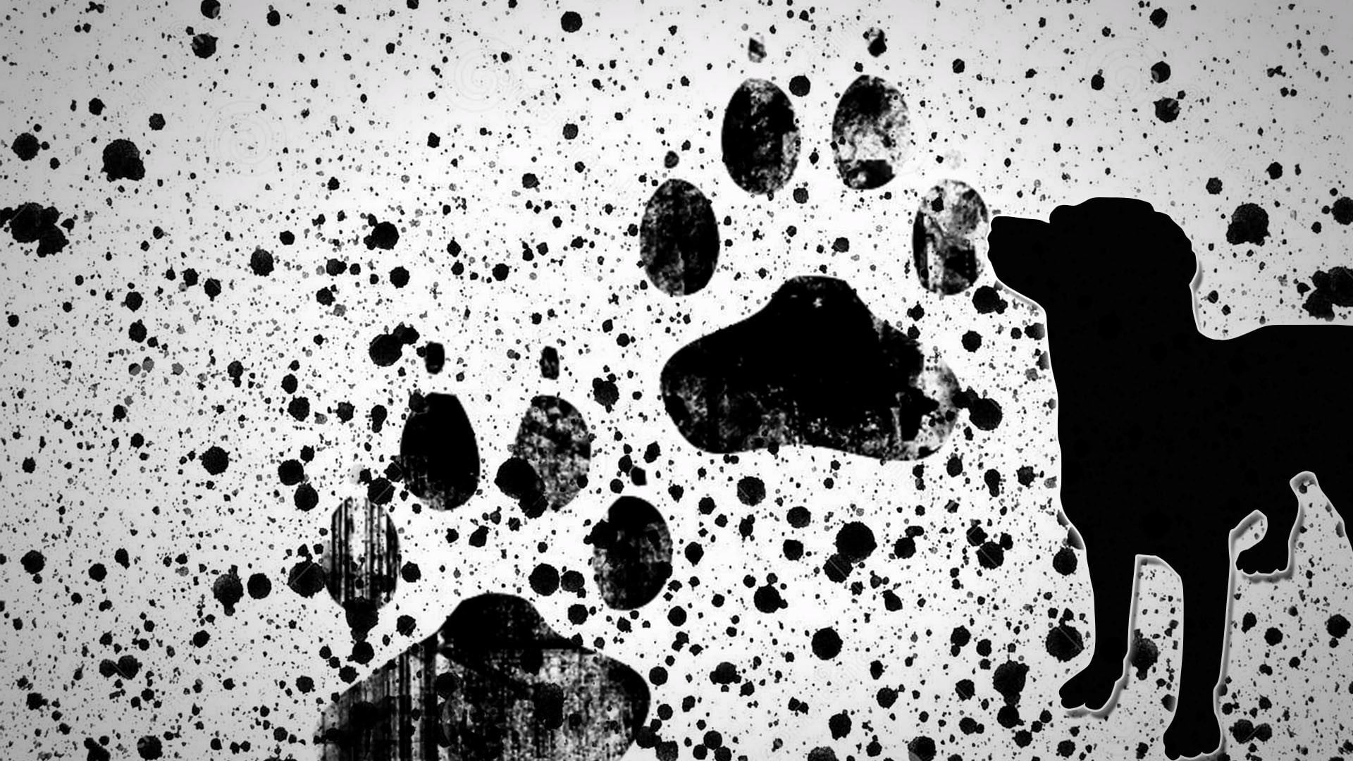 silhouette of dog painting, paws, puppies, paint splatter, indoors