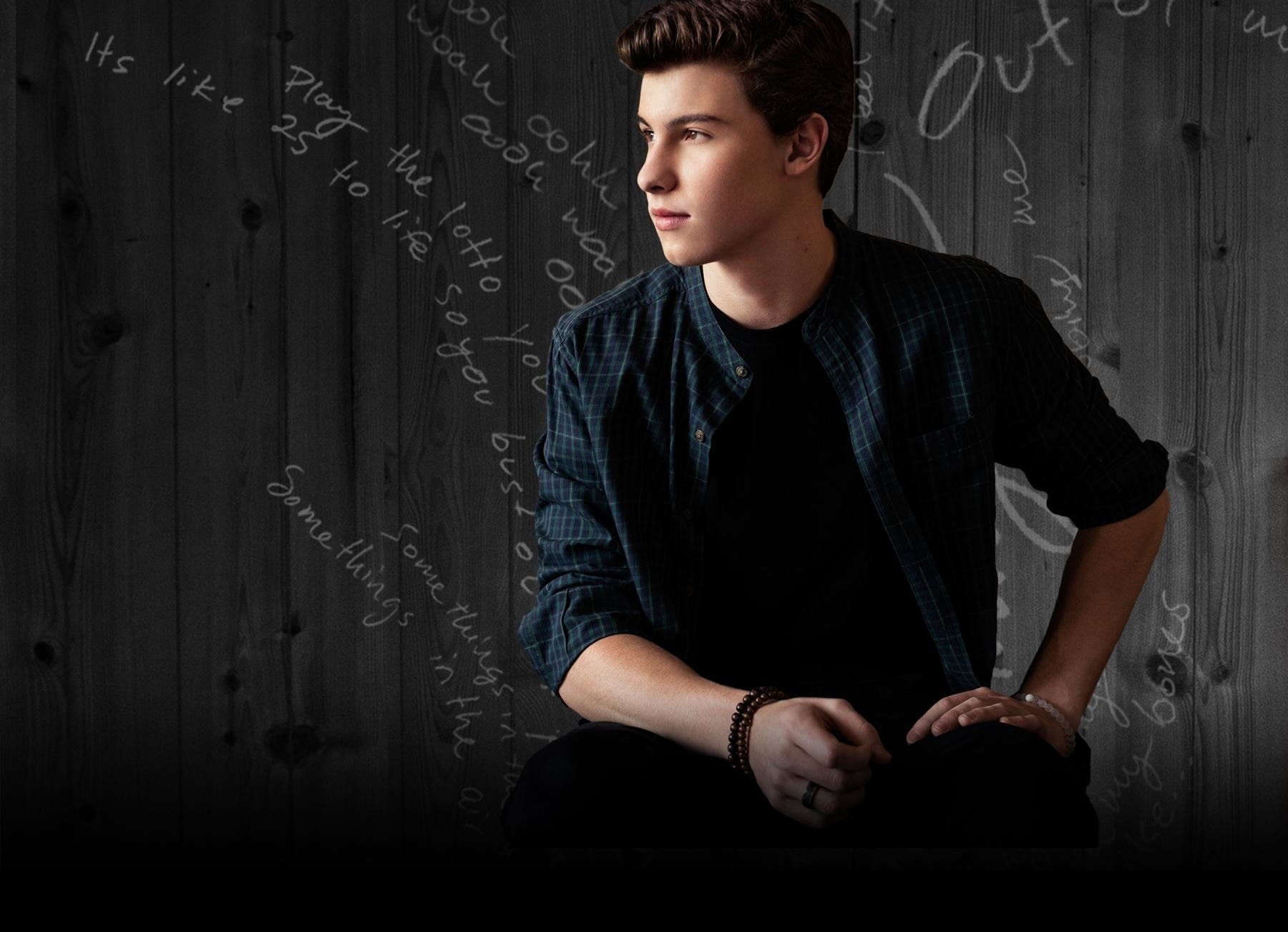 Singers, Shawn Mendes