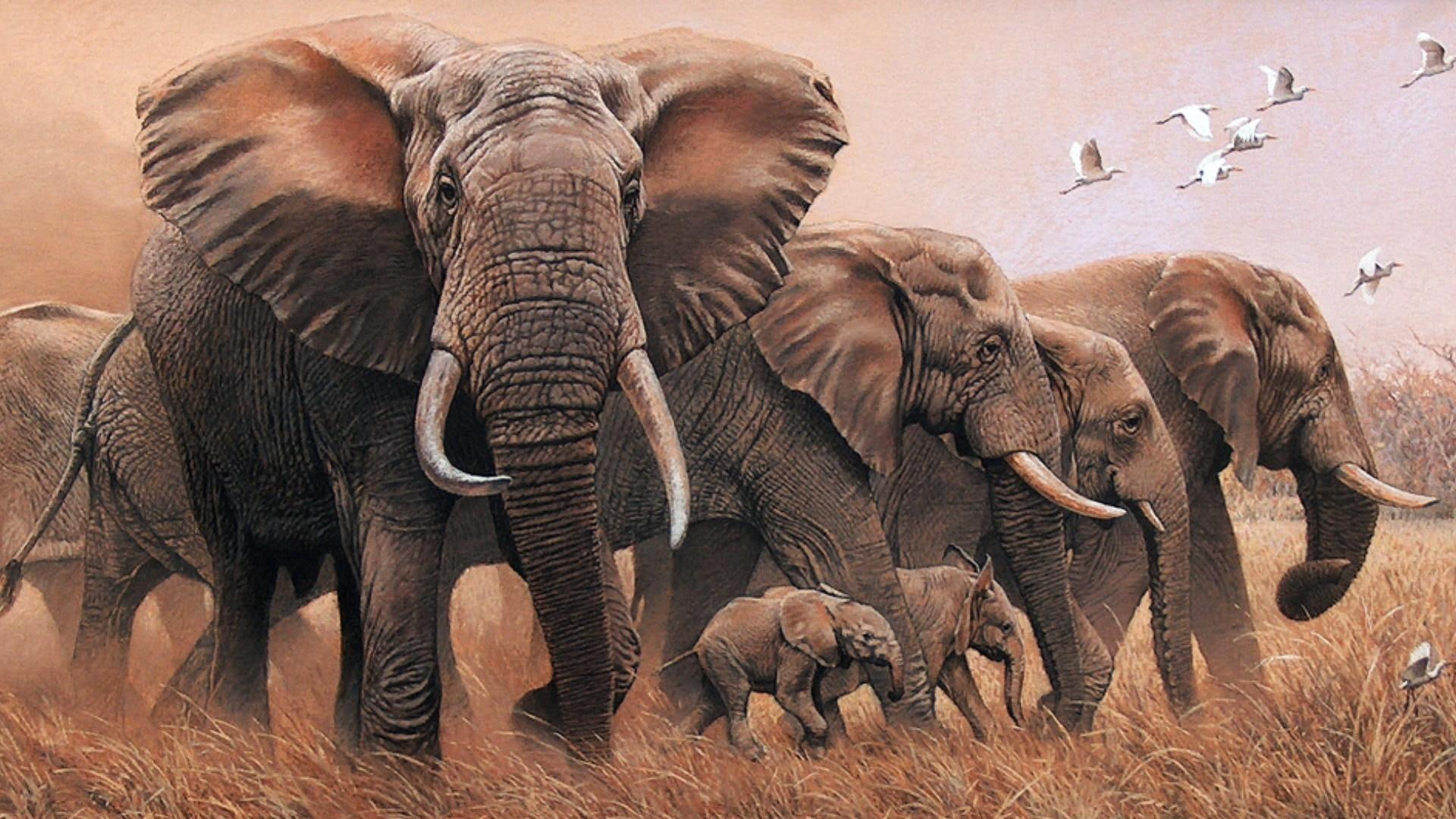 art, painting, artwork, wildlife, elephants, baby elephant
