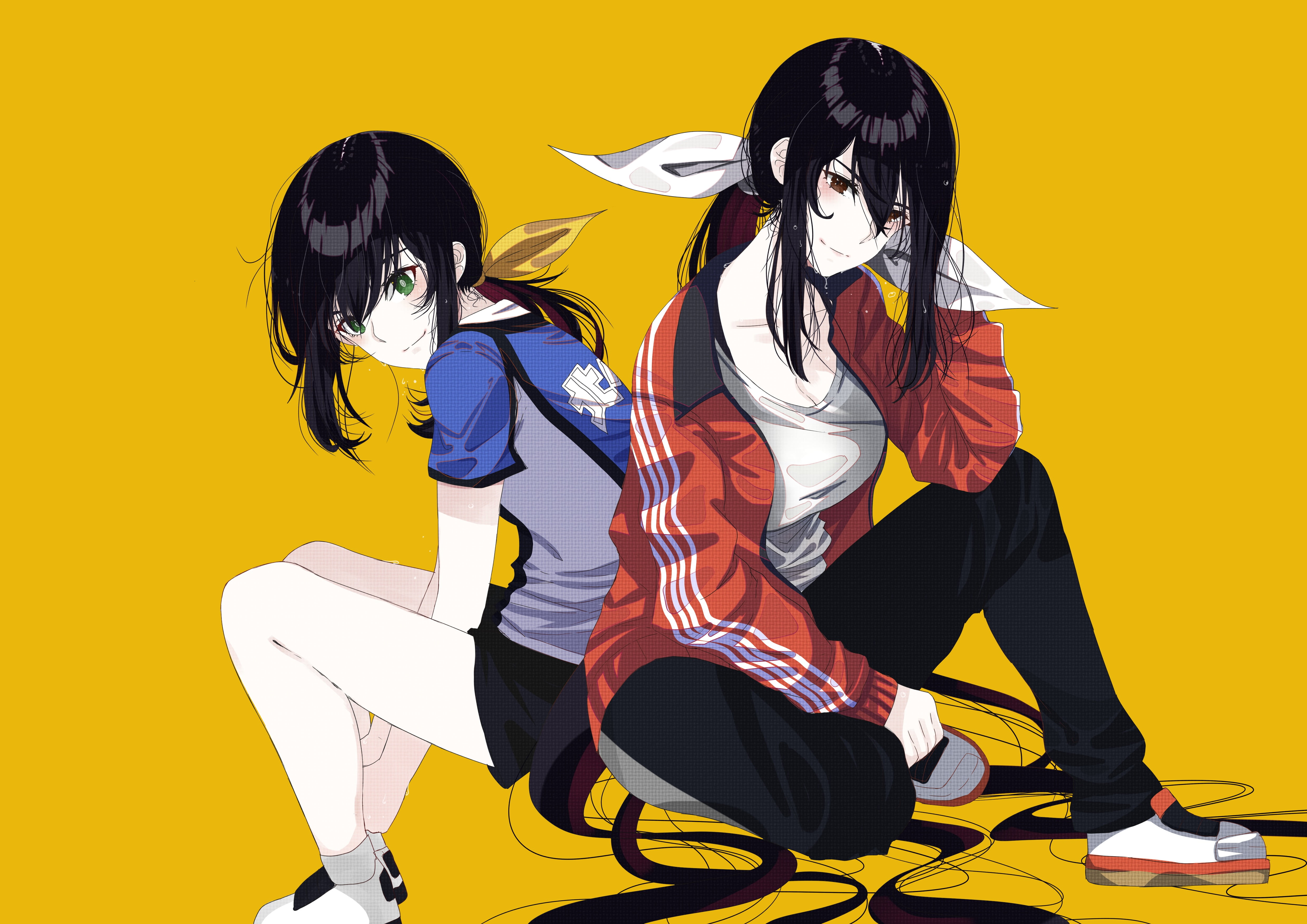 two female anime characters illustration, HANEBADO!, anime girls