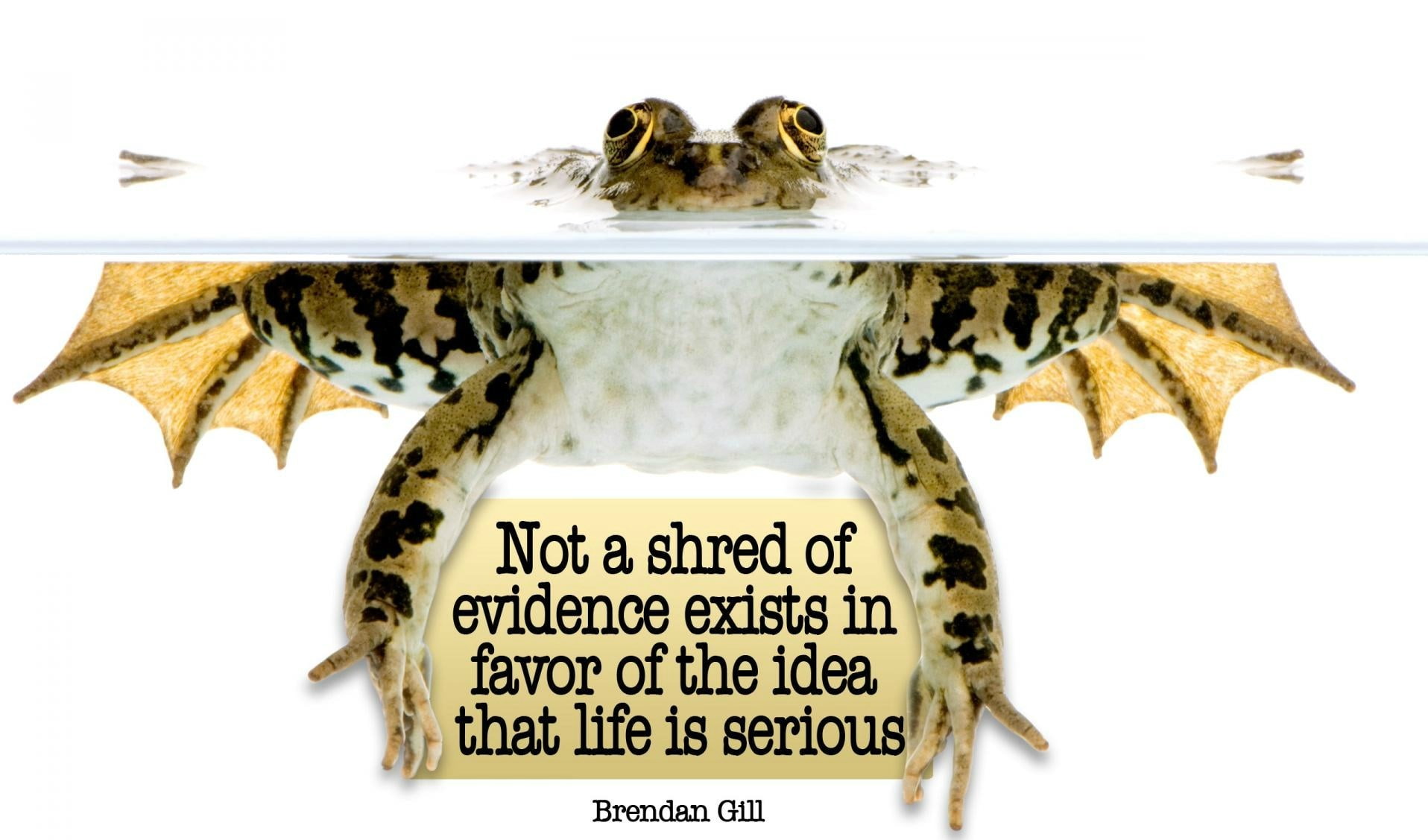 quote