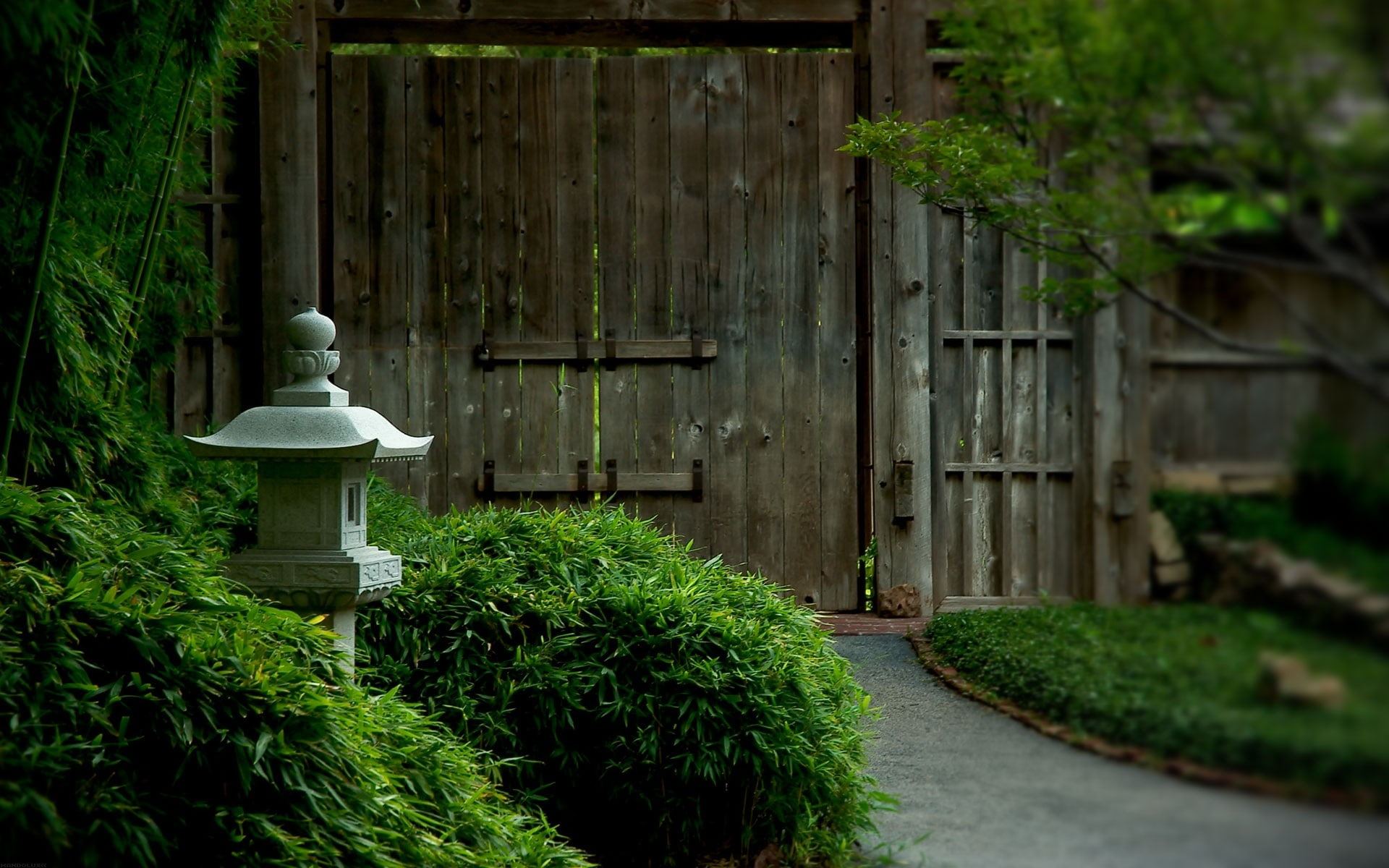 Nature, Japanese Garden, Japan, Plants, Wooden Door, brown wooden door and grey concrete miniature house