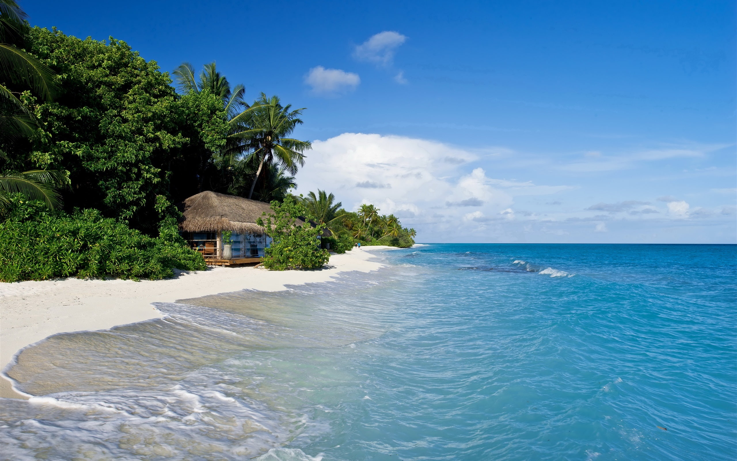 Maldives, tropical, sea, beach, palm trees, hut