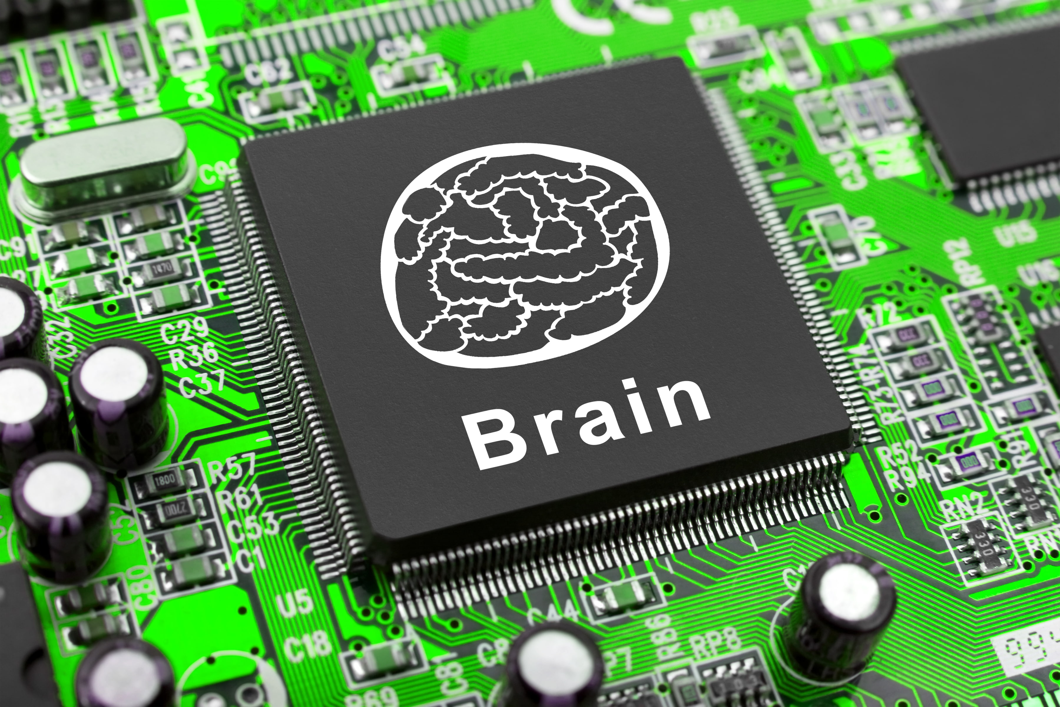 electronic, brain, circuits