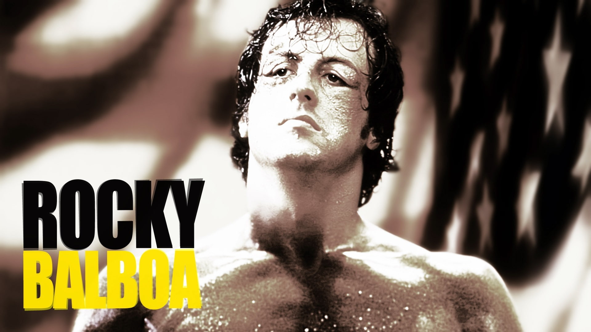 movies rocky balboa rocky movie sylvester stallone, front view