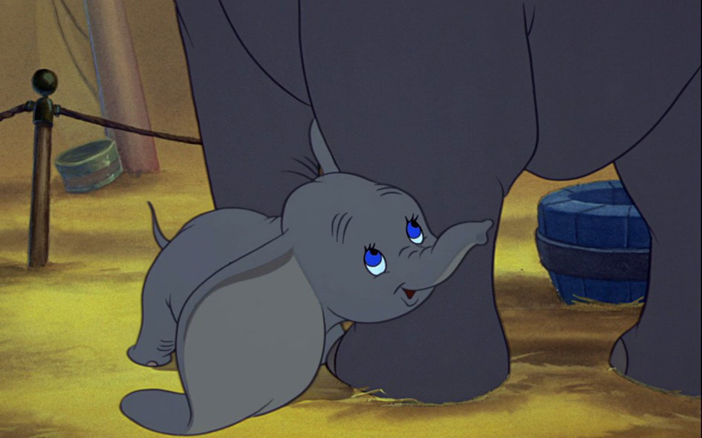 Movie, Dumbo