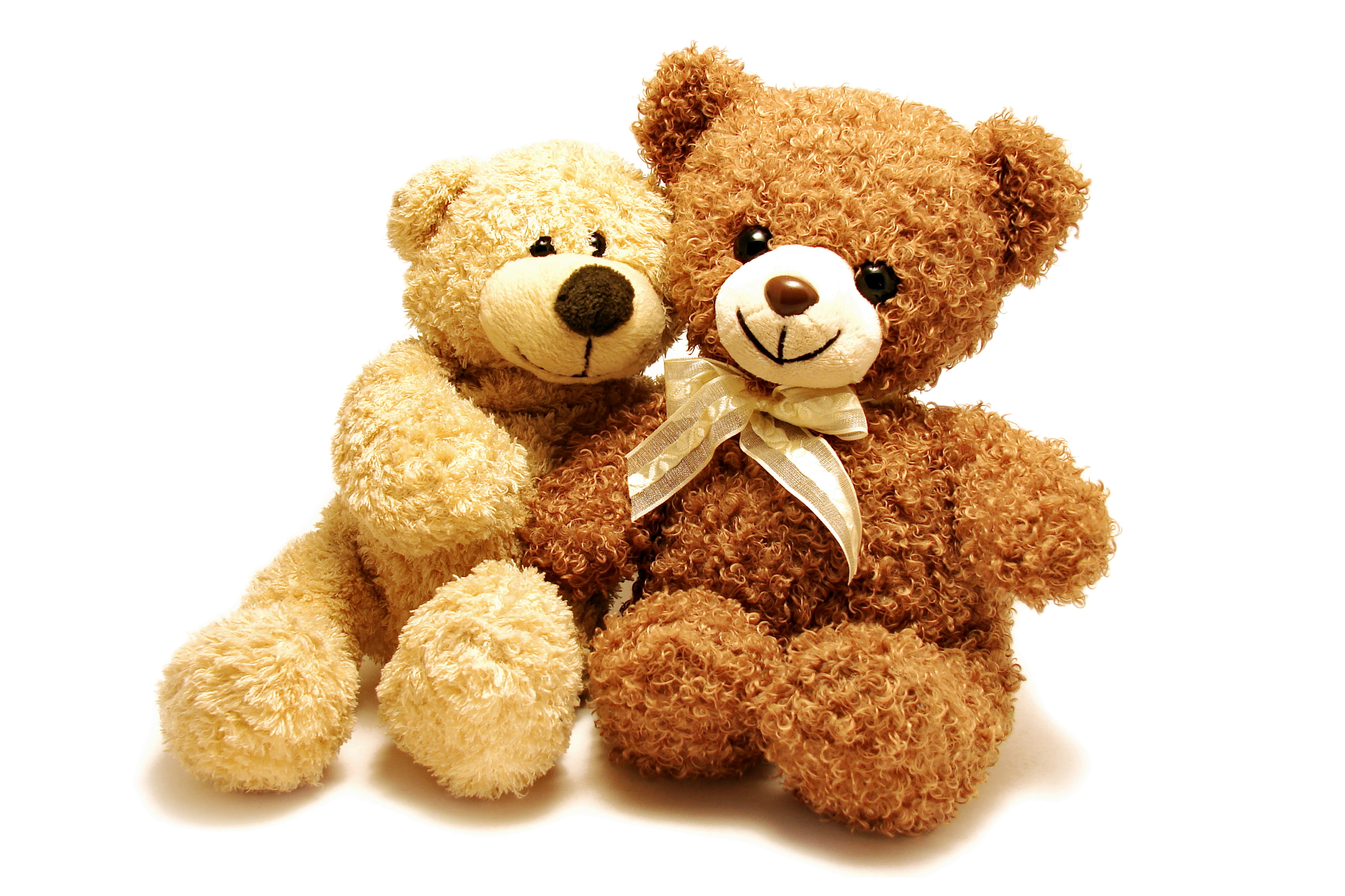 two beige and brown fleece teddy bears, Soft toys, 4K