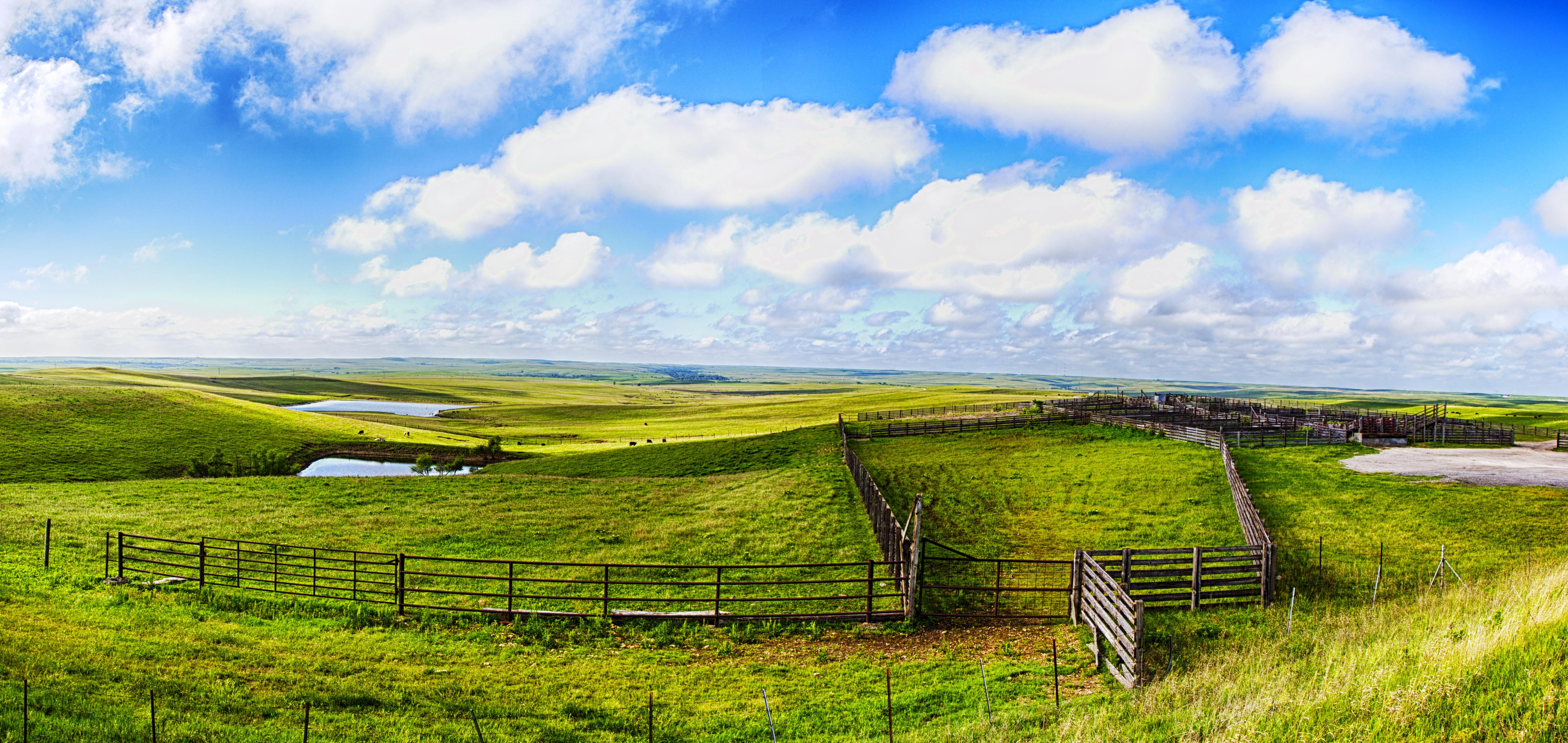 green grass field under white clouds and blue sky during daytime, flint hills, flint hills