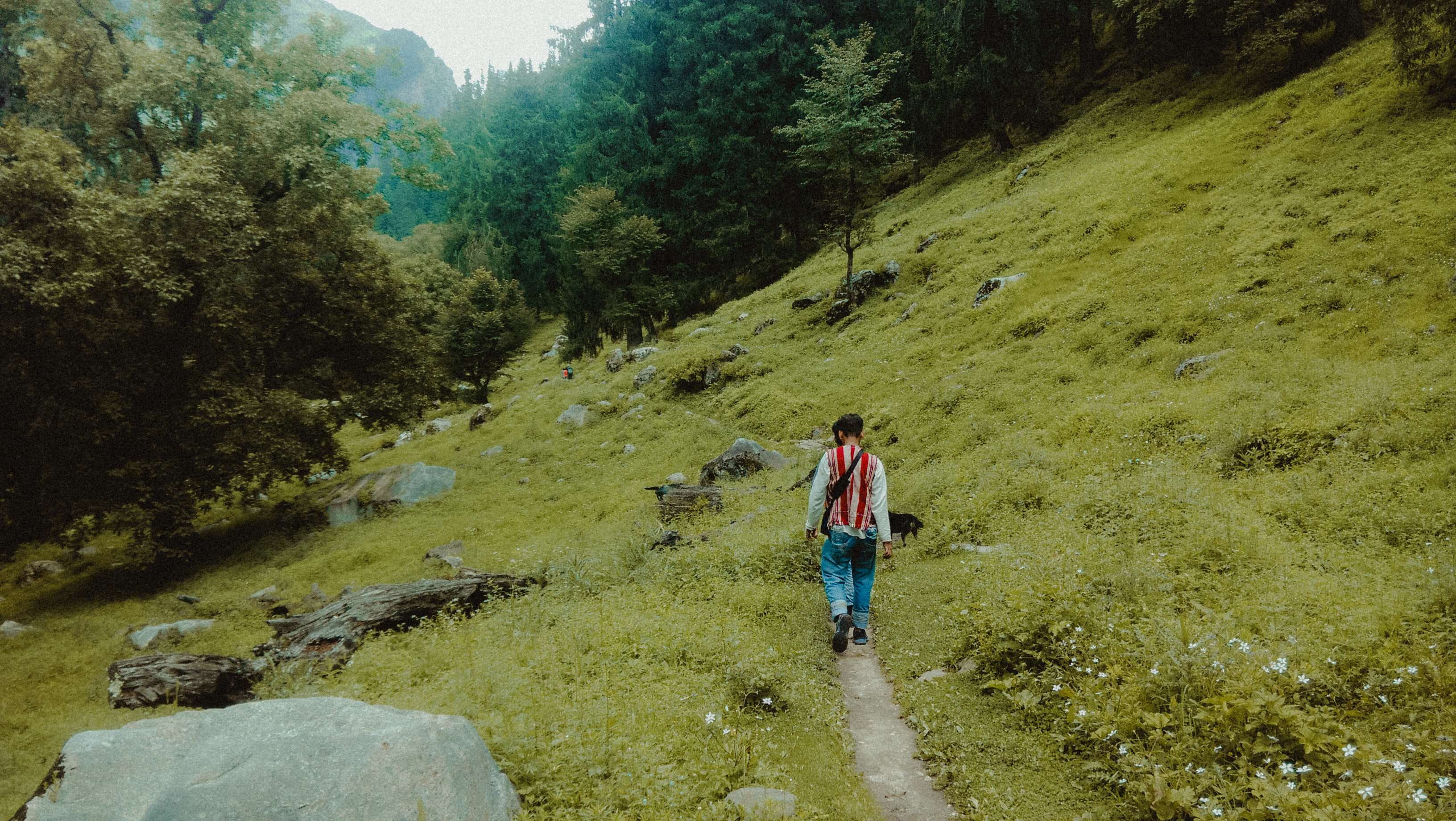 30mm, film, green, himalayas, india, mountains, nature, trek