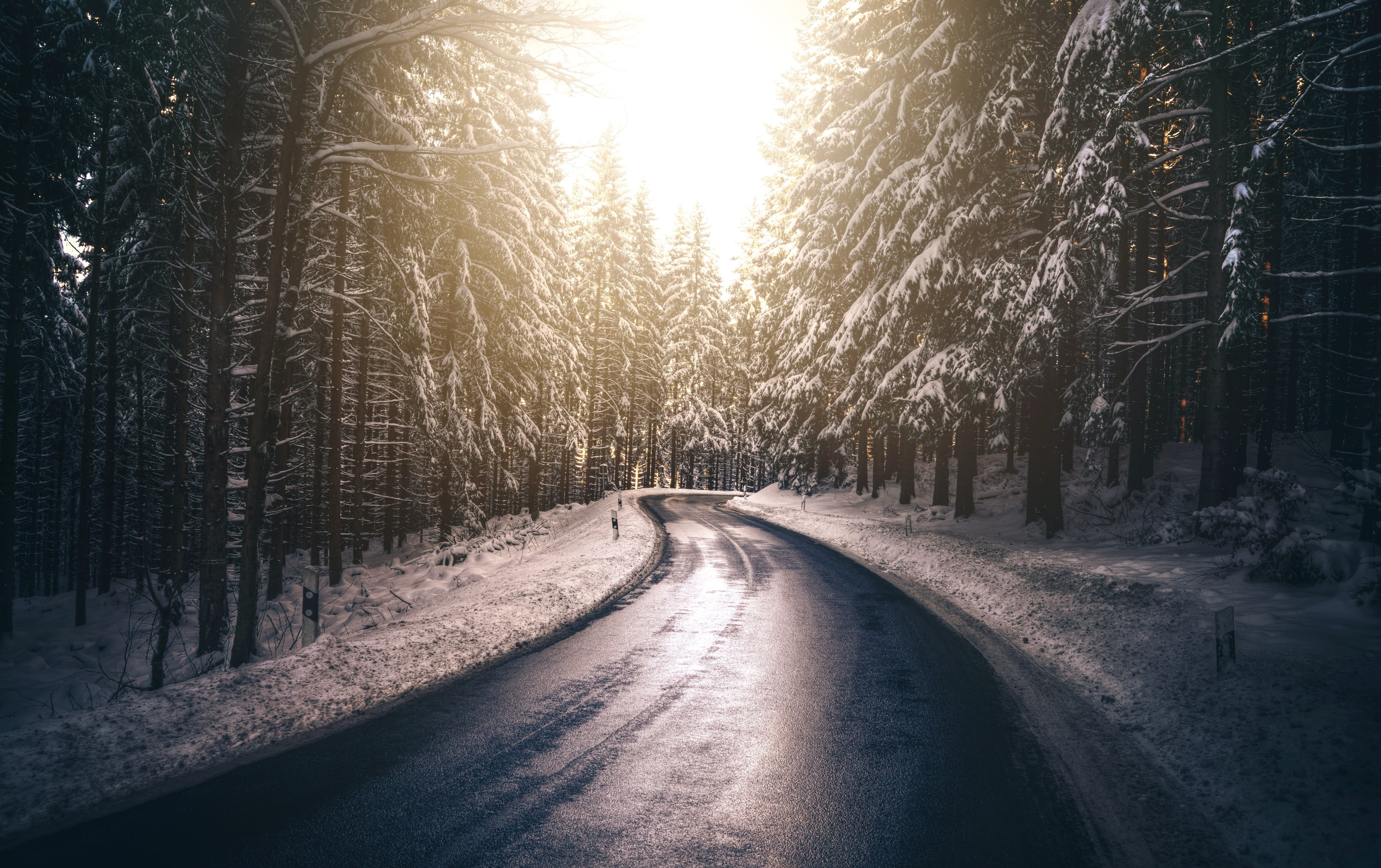road 4k wallpaper for free download for pc, tree, plant, the way forward