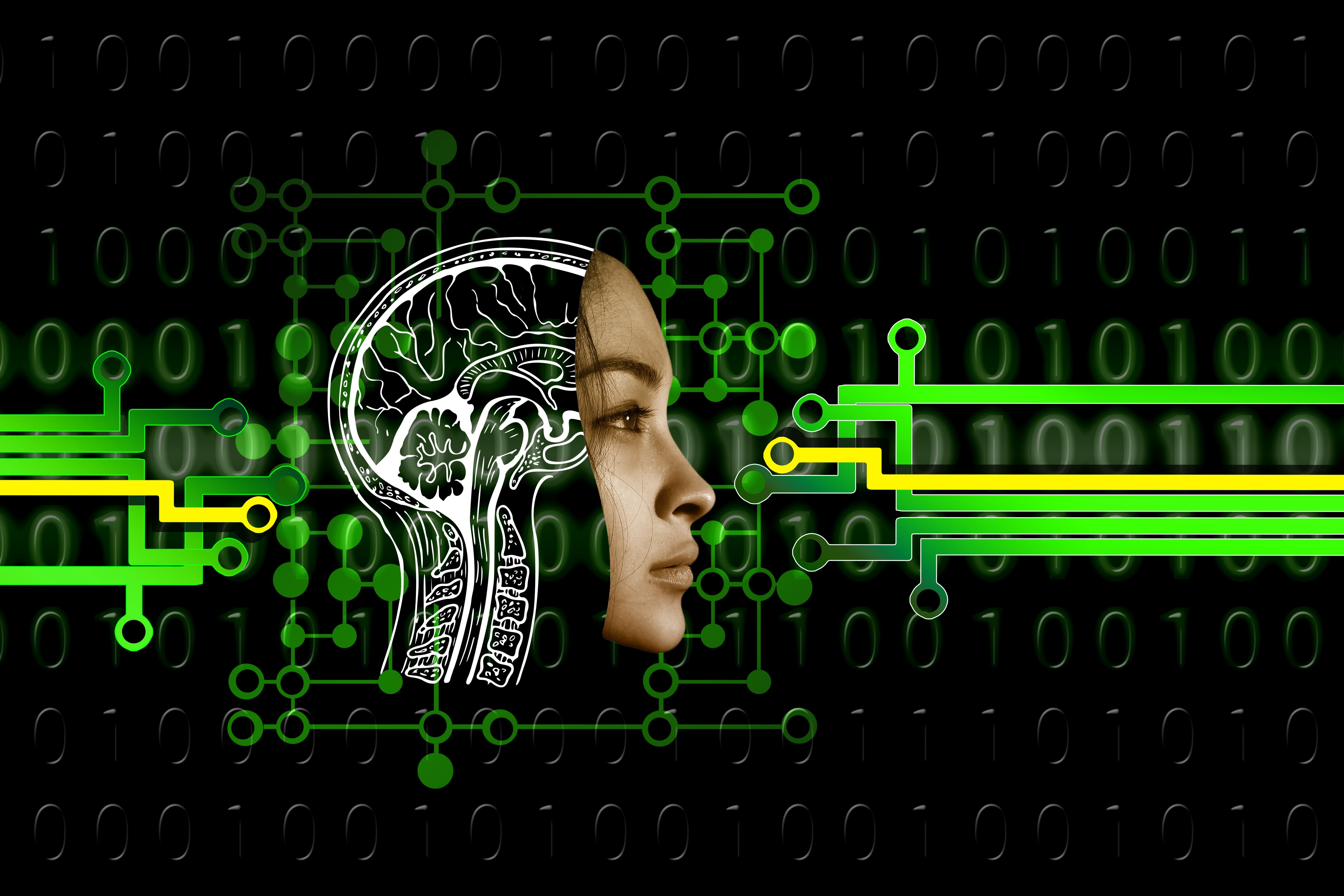 face, code, artificial Intelligence