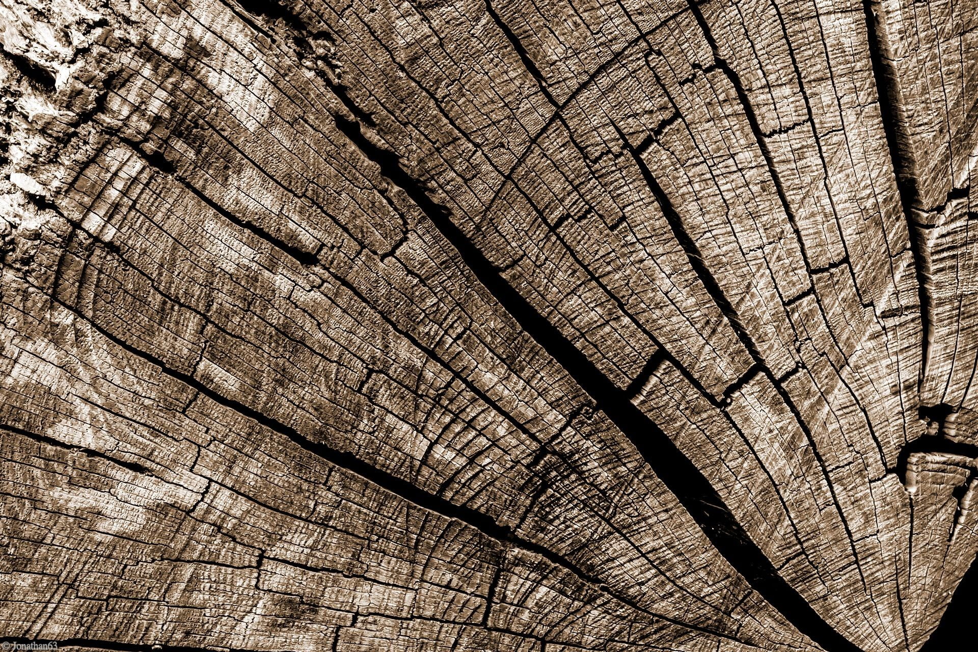 brown tree trunk, wood, wooden surface, pattern, texture, cracked