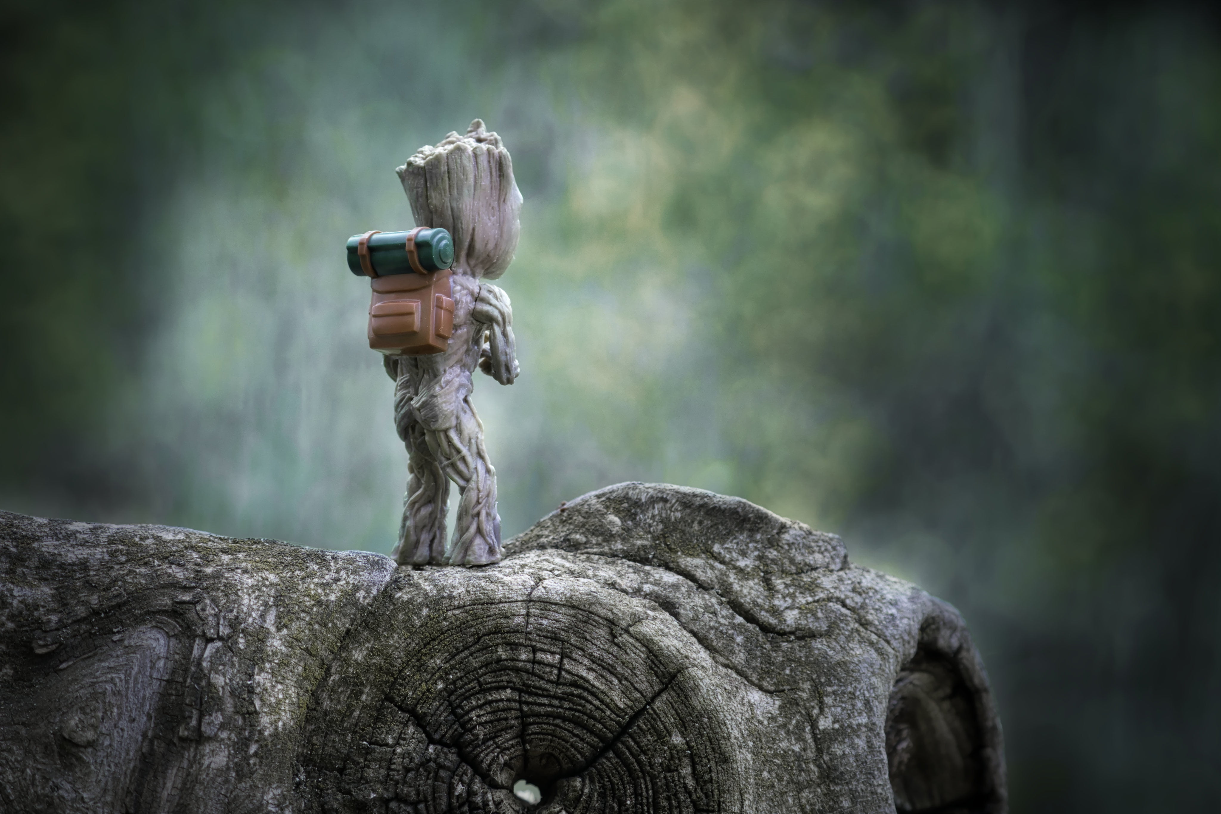 Groot, forest
