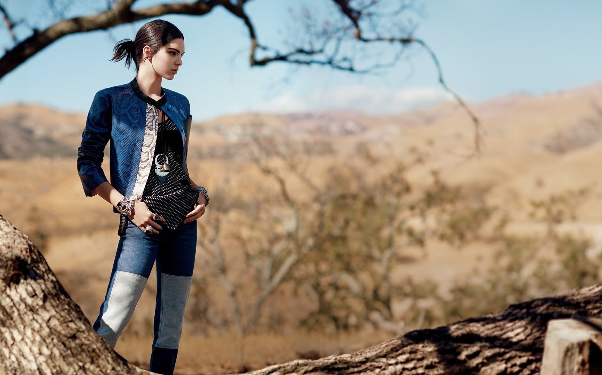 kendall jenner widescreen computer