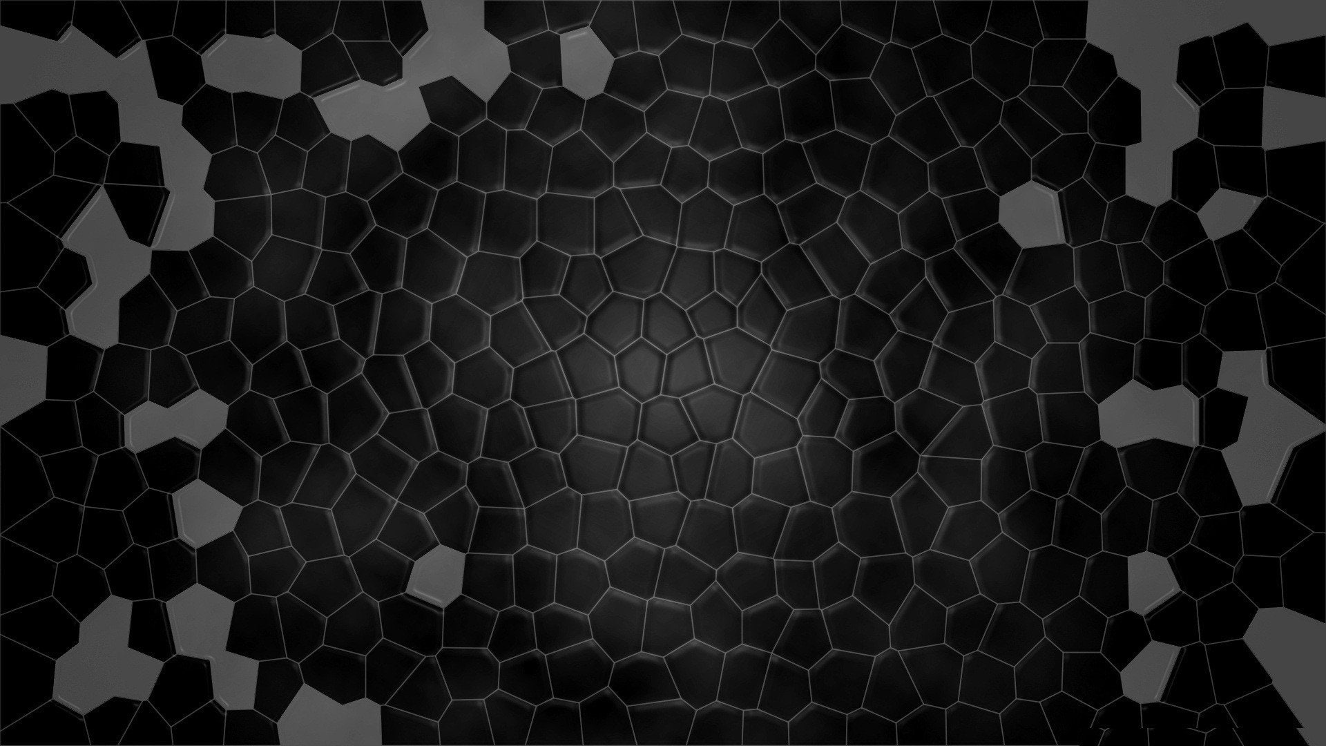 abstract, shell