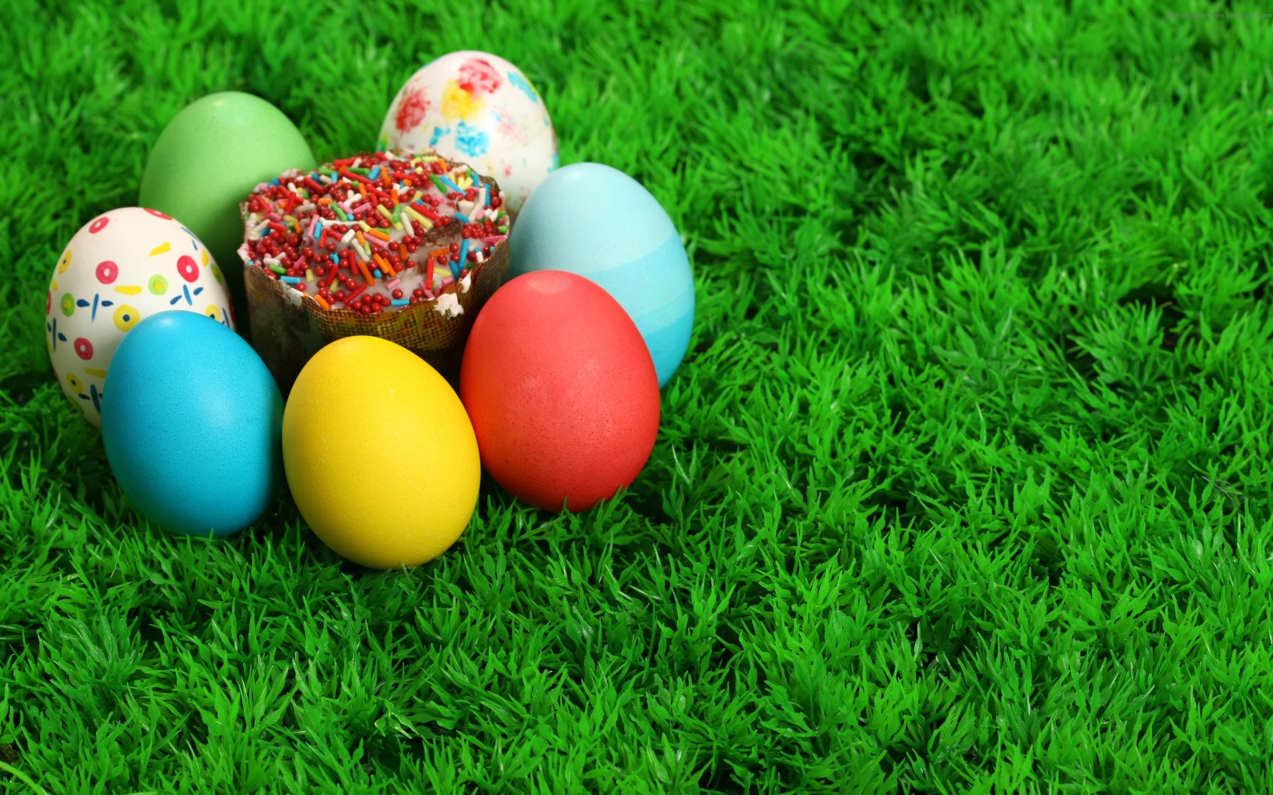 colored, easter, eggs