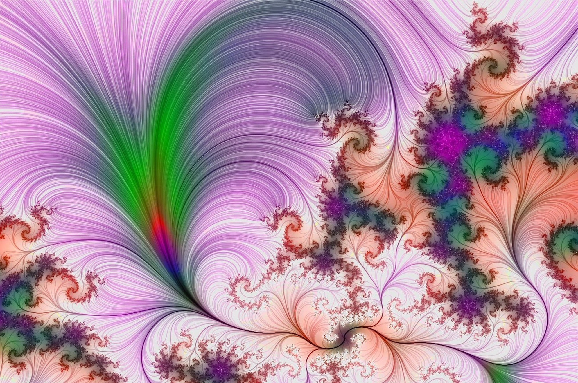 Pattern, Background, Light, floral pattern, full frame, backgrounds