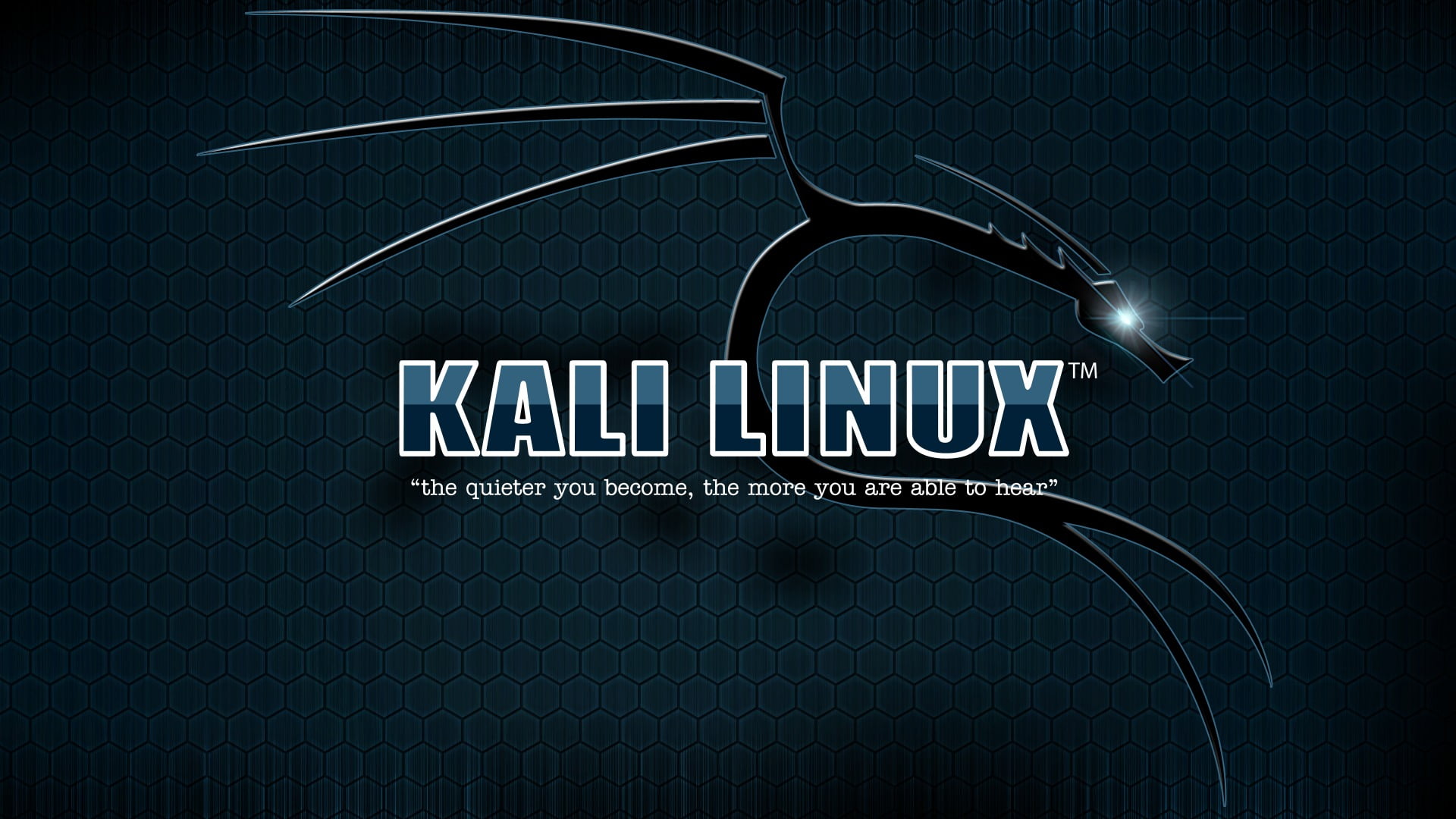 Kali Linux logo, text, western script, communication, indoors