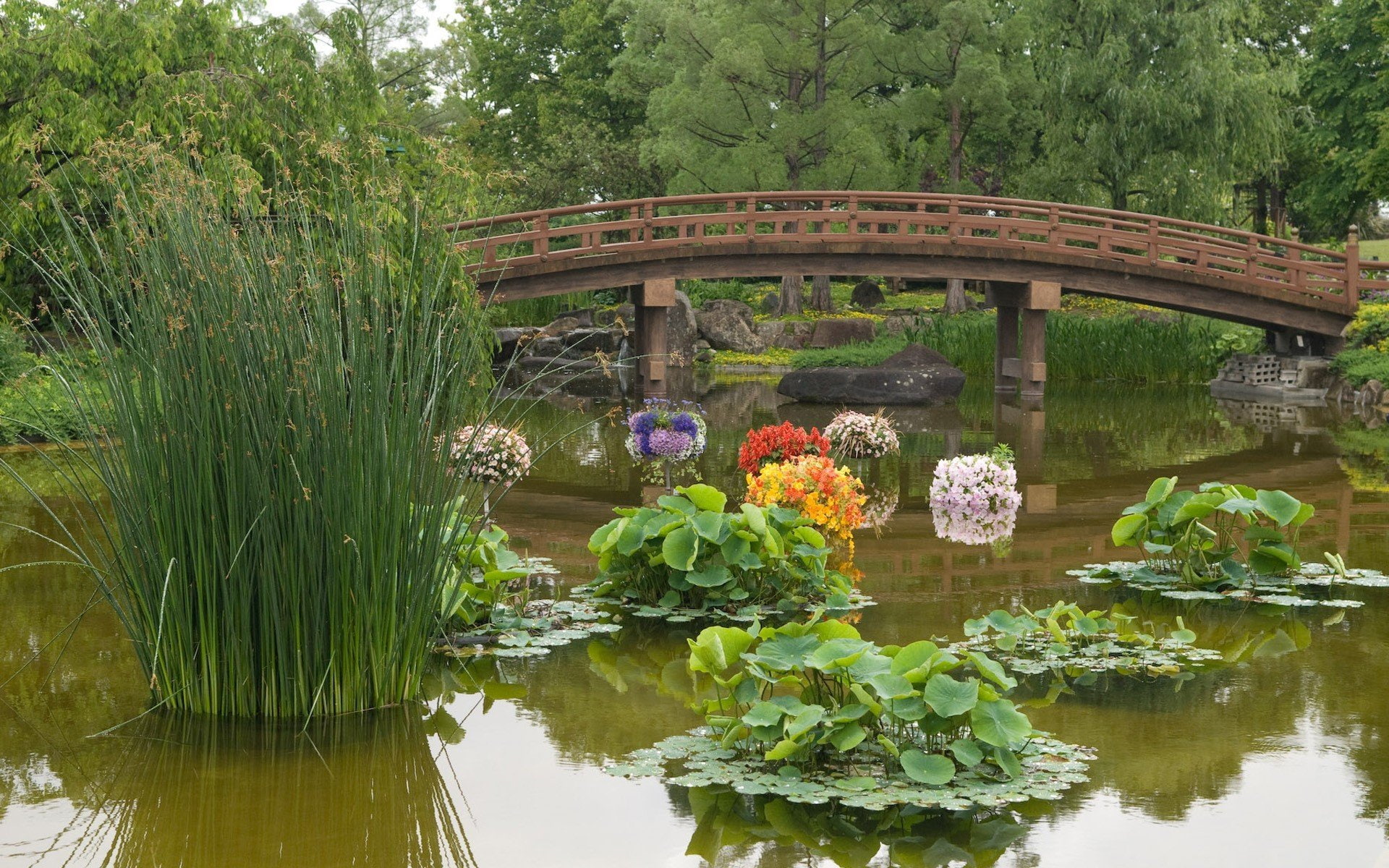 japan, plant, water, bridge, reflection, connection, nature