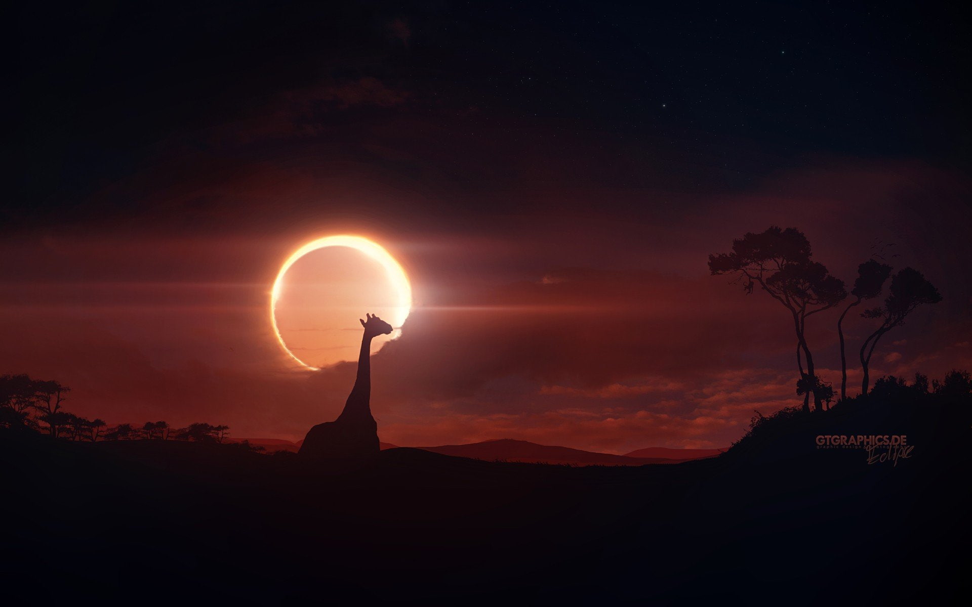 clouds, eclipse, giraffe, moon, skies, sun, sunlight