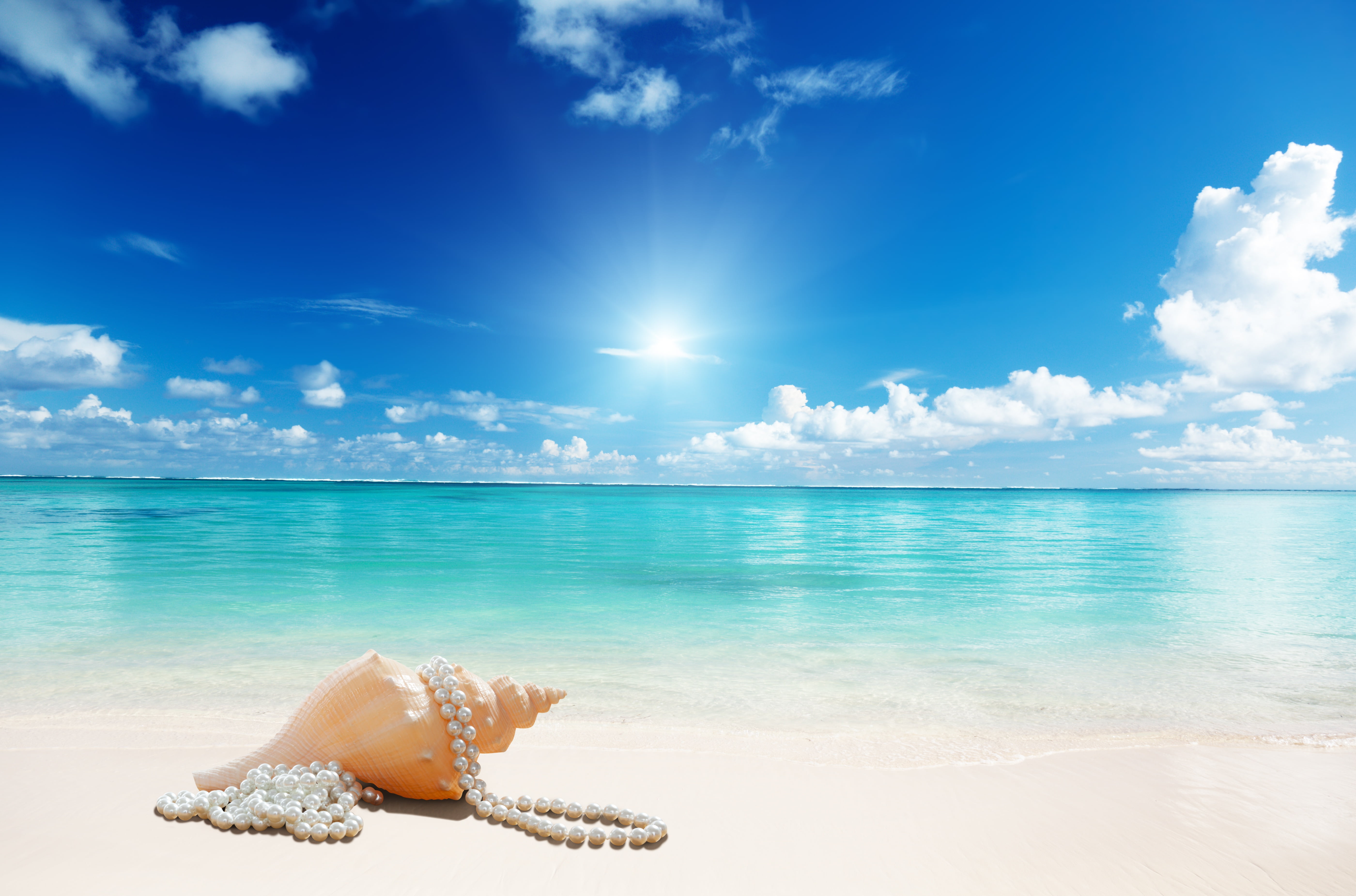 sunshine, beach, sea, sand, seashell
