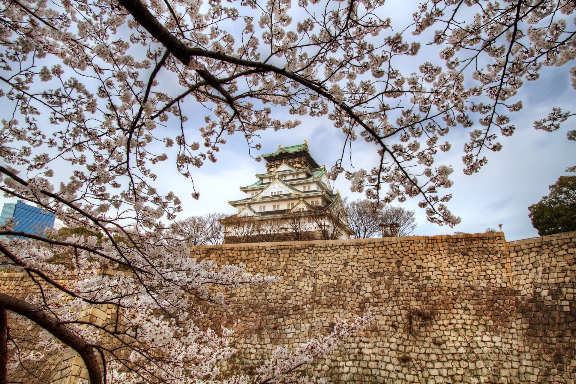 Castles, Osaka Castle, Cherry Blossom, Japan, Sakura, Spring