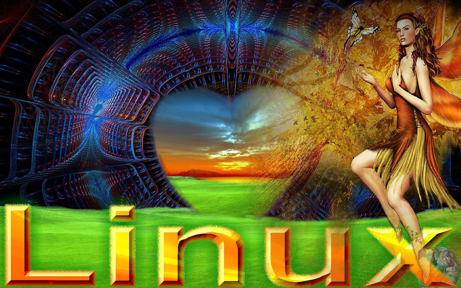 Linux1, welt, geist, live