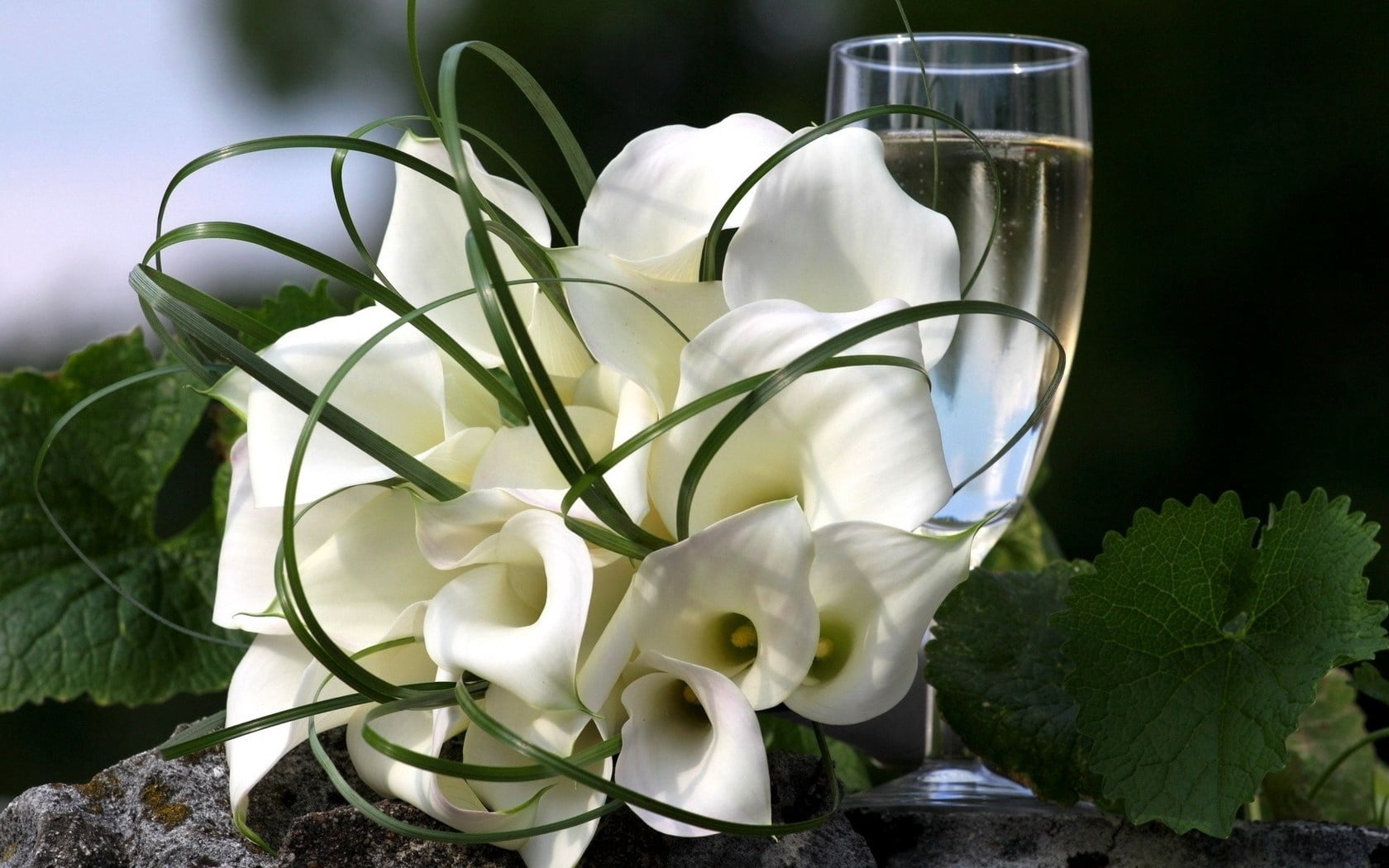 bouquet of white peace lily, calla lilies, flowers, decoration