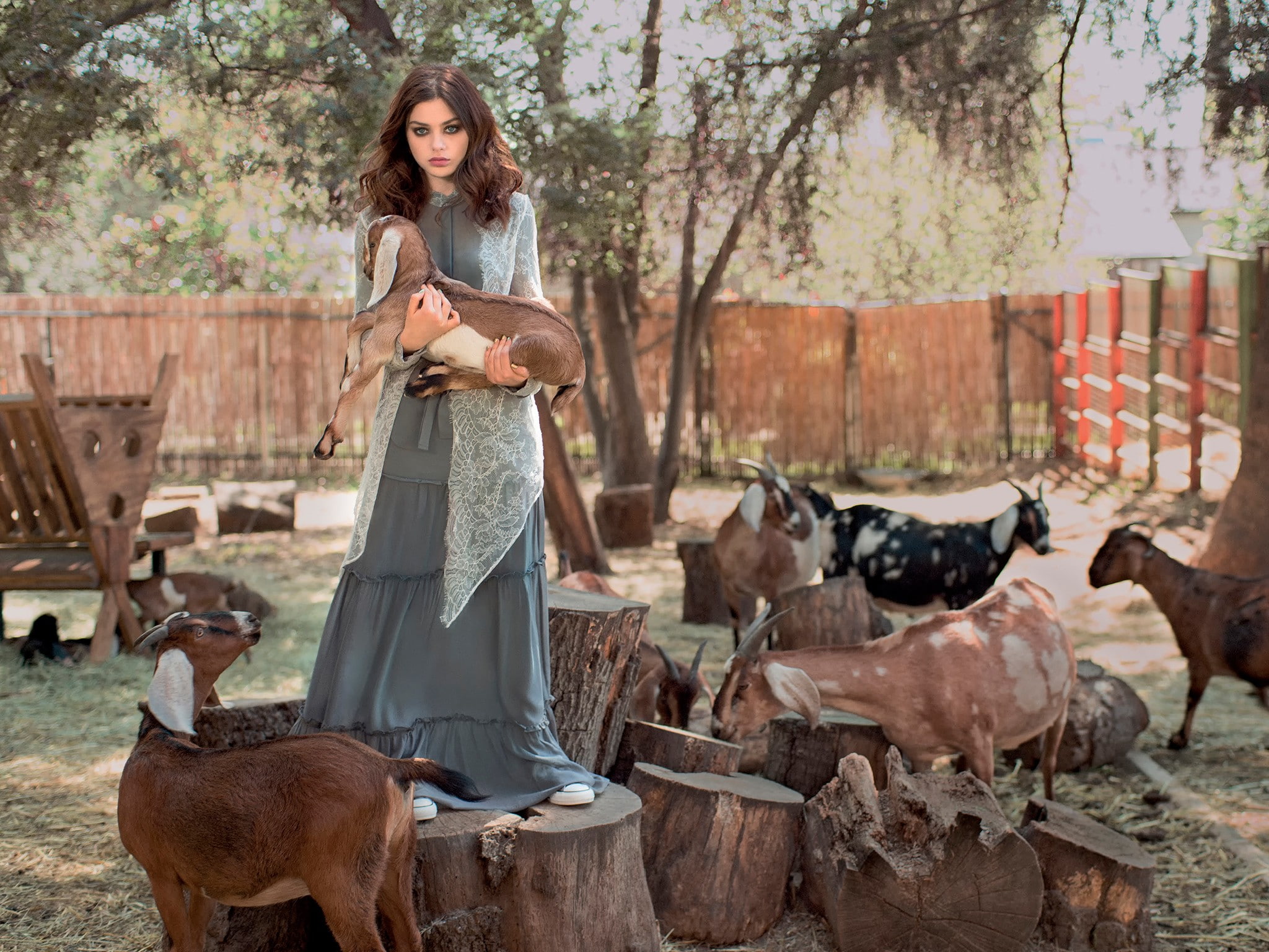 animals, women, model, goats, brunette, dress, Odeya Rush, group of animals