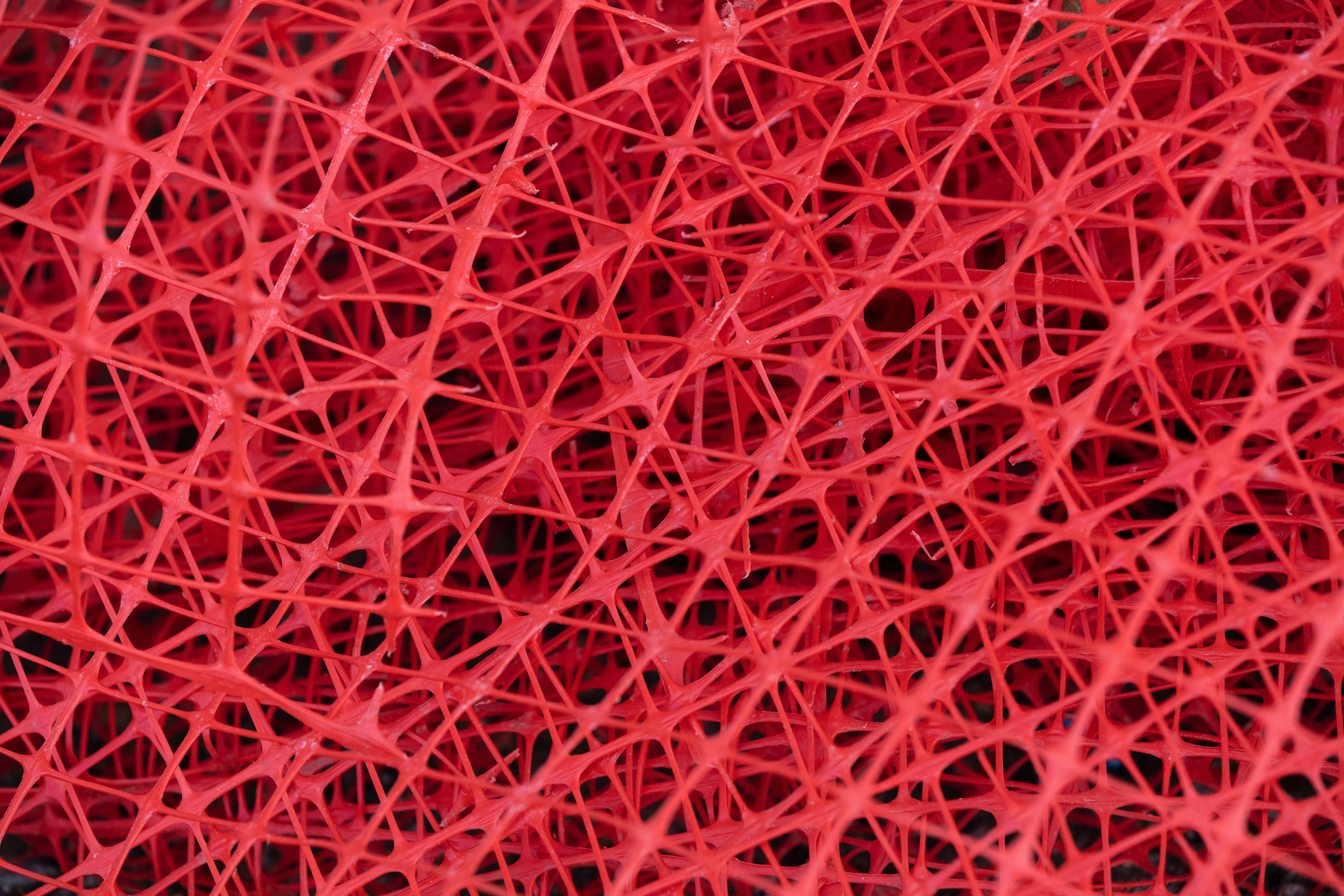mesh, texture, surface