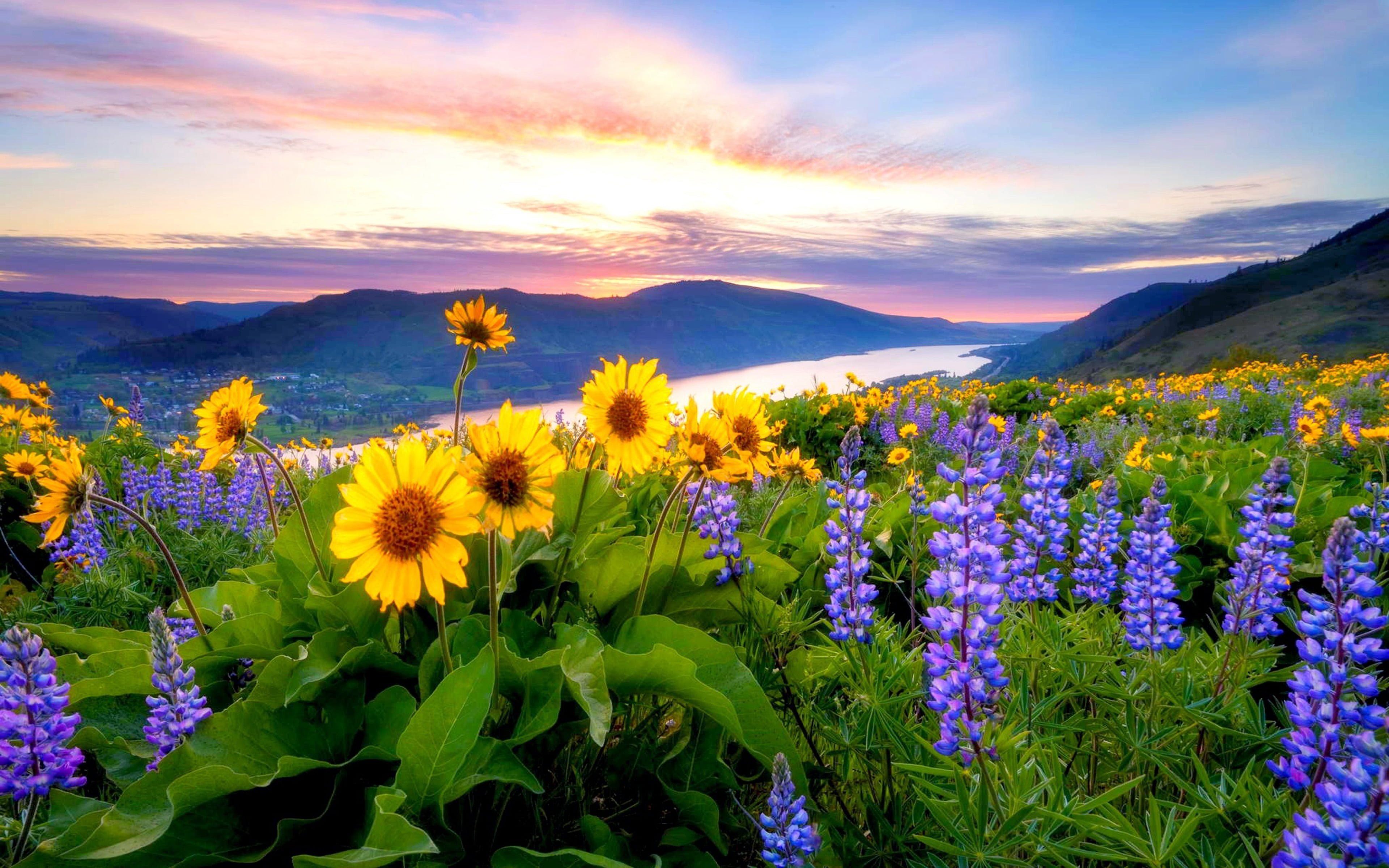 Spring Flowers Mountain Lake Hills Red Cloud Sunset Hd Desktop Backgrounds Free Download 3840×2400