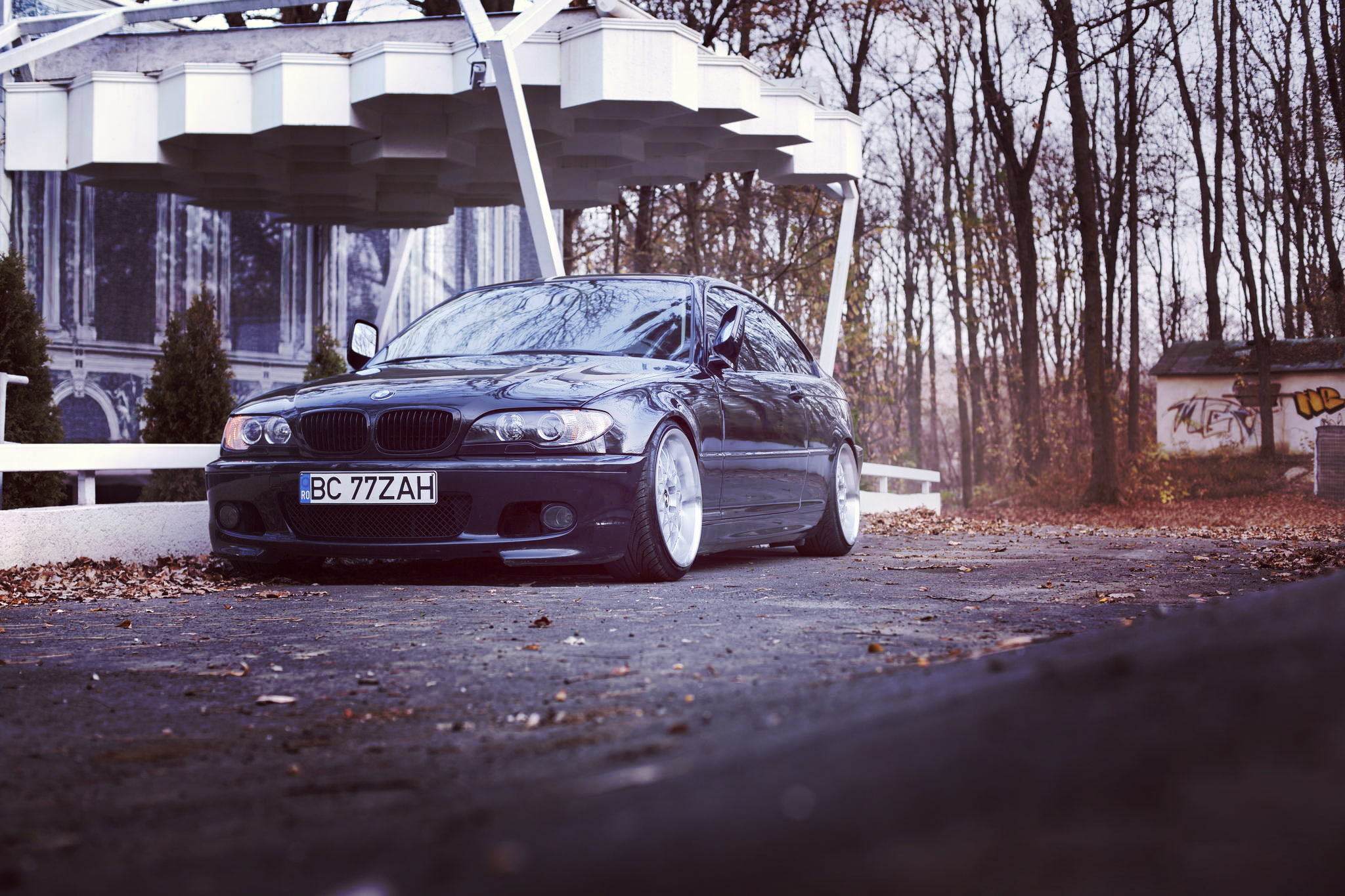 BMW, autumn, stance, e46, 3series, 325ci