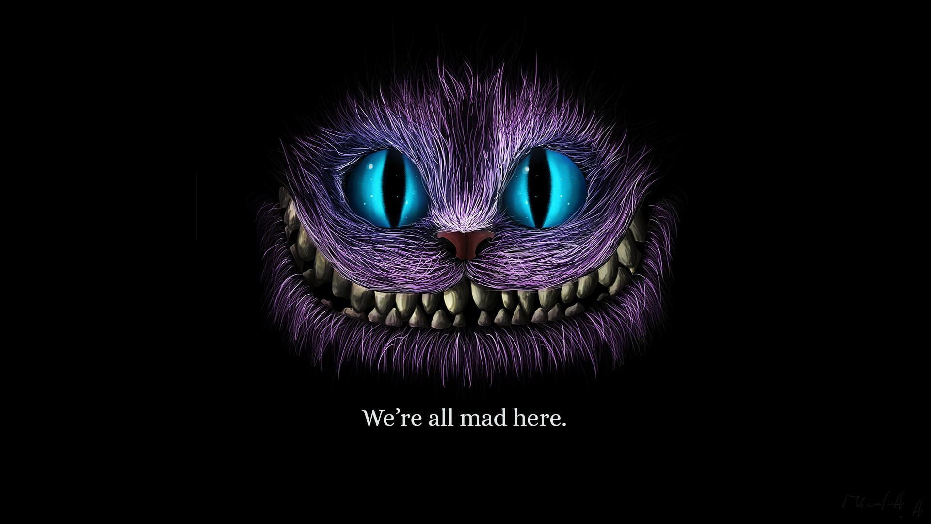 cat, smiling, Cheshire Cat, Alice, Alice in Wonderland, studio shot