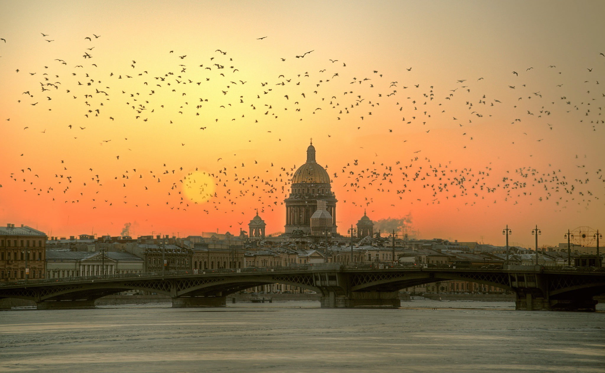 cityscape sun sunset river bridge st_ petersburg russia cathedral architecture building birds leningrad