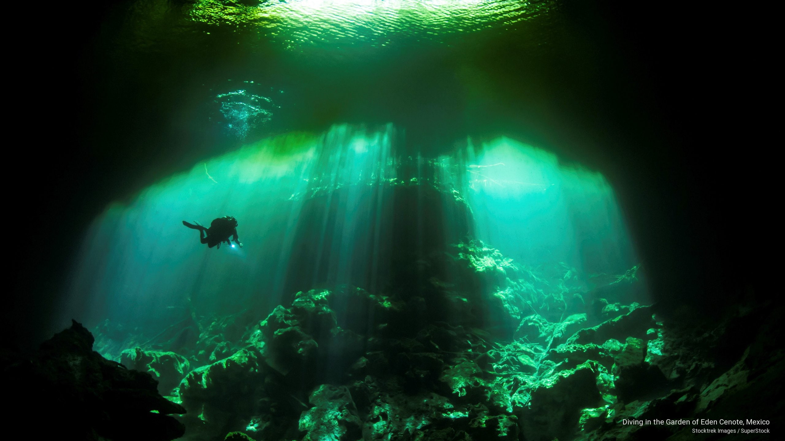 Diving in the Garden of Eden Cenote, Mexico, Nature