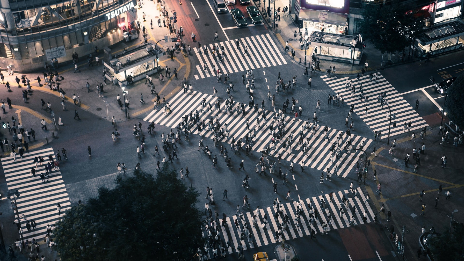 bird's eye view photo of people crossing streets, city, Tokyo