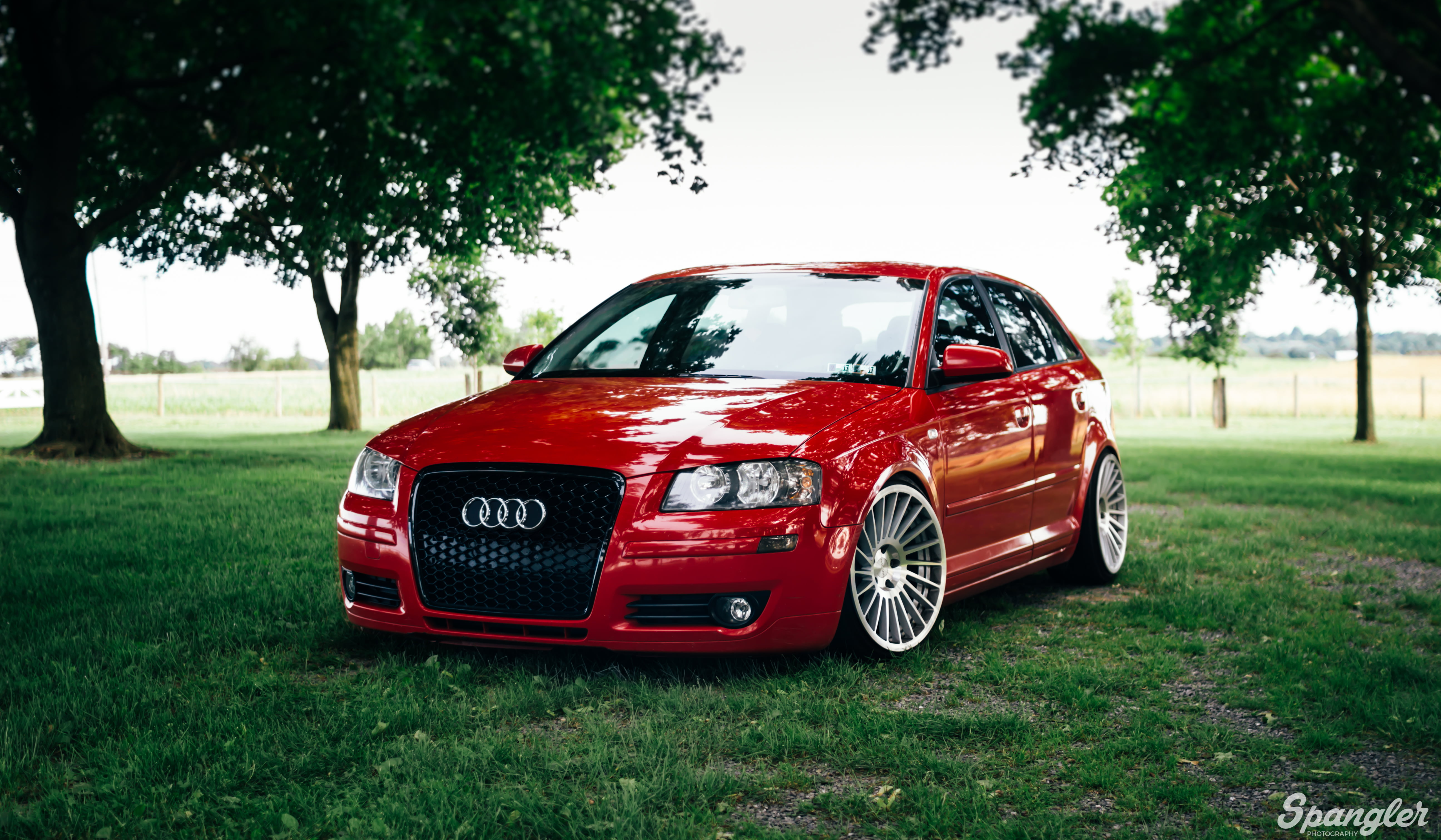 red Audi 3-door hatchback, audi a3, front view, auto, grass, plant